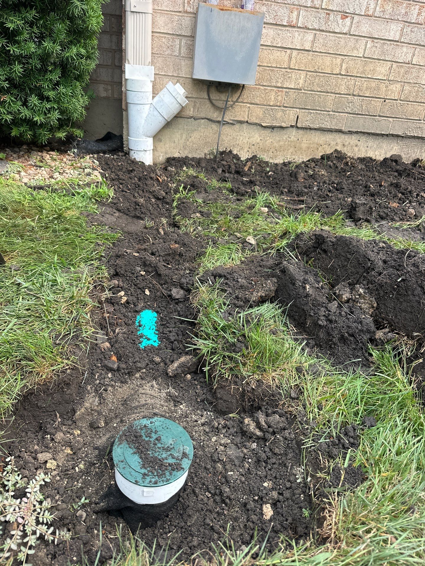 Marie R. - Glenview, IL by A&N 