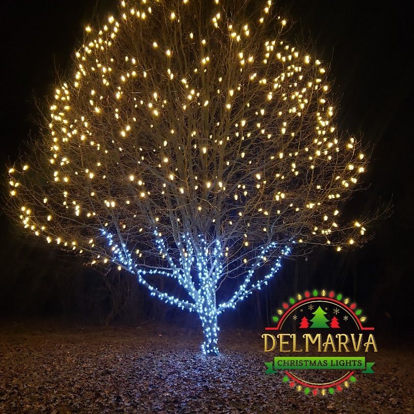 Christmas Lights by Clean Power Wash LLC