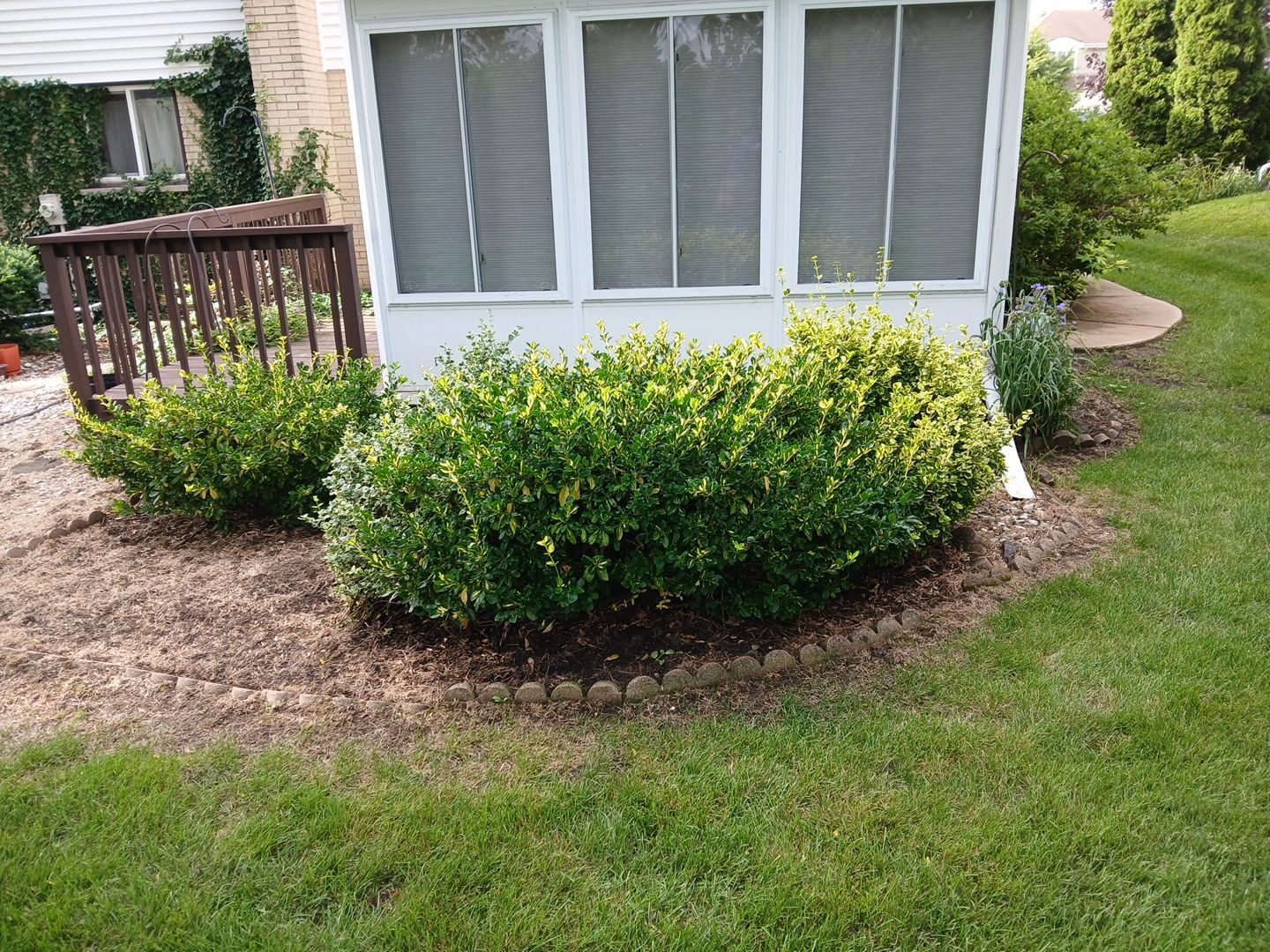 Andrew L. - Arlington Heights, IL by A&N