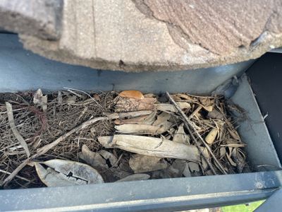 Gutter Cleaning Service in Bradenton FL