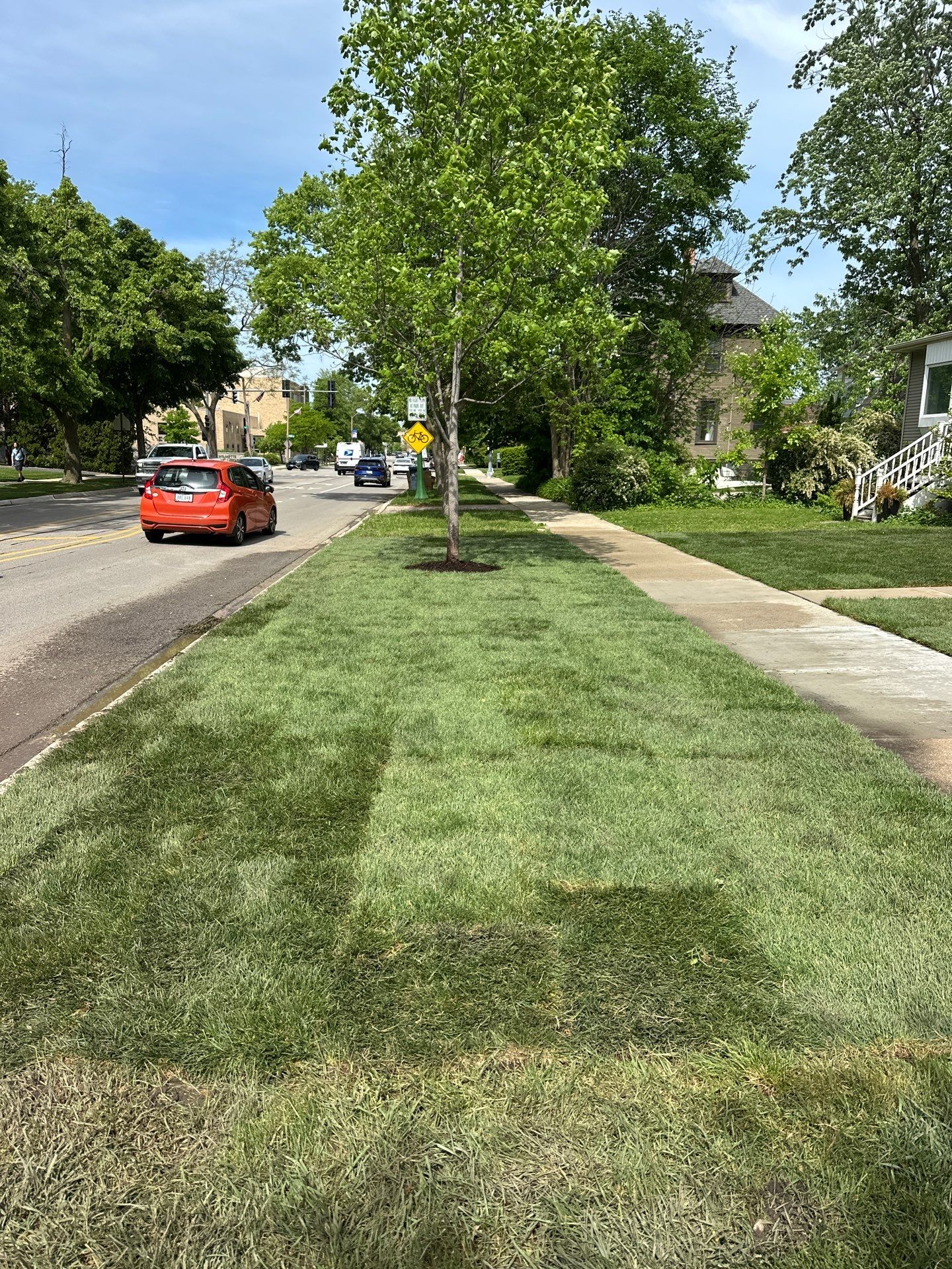 Tom D. - Wilmette, IL by A&N