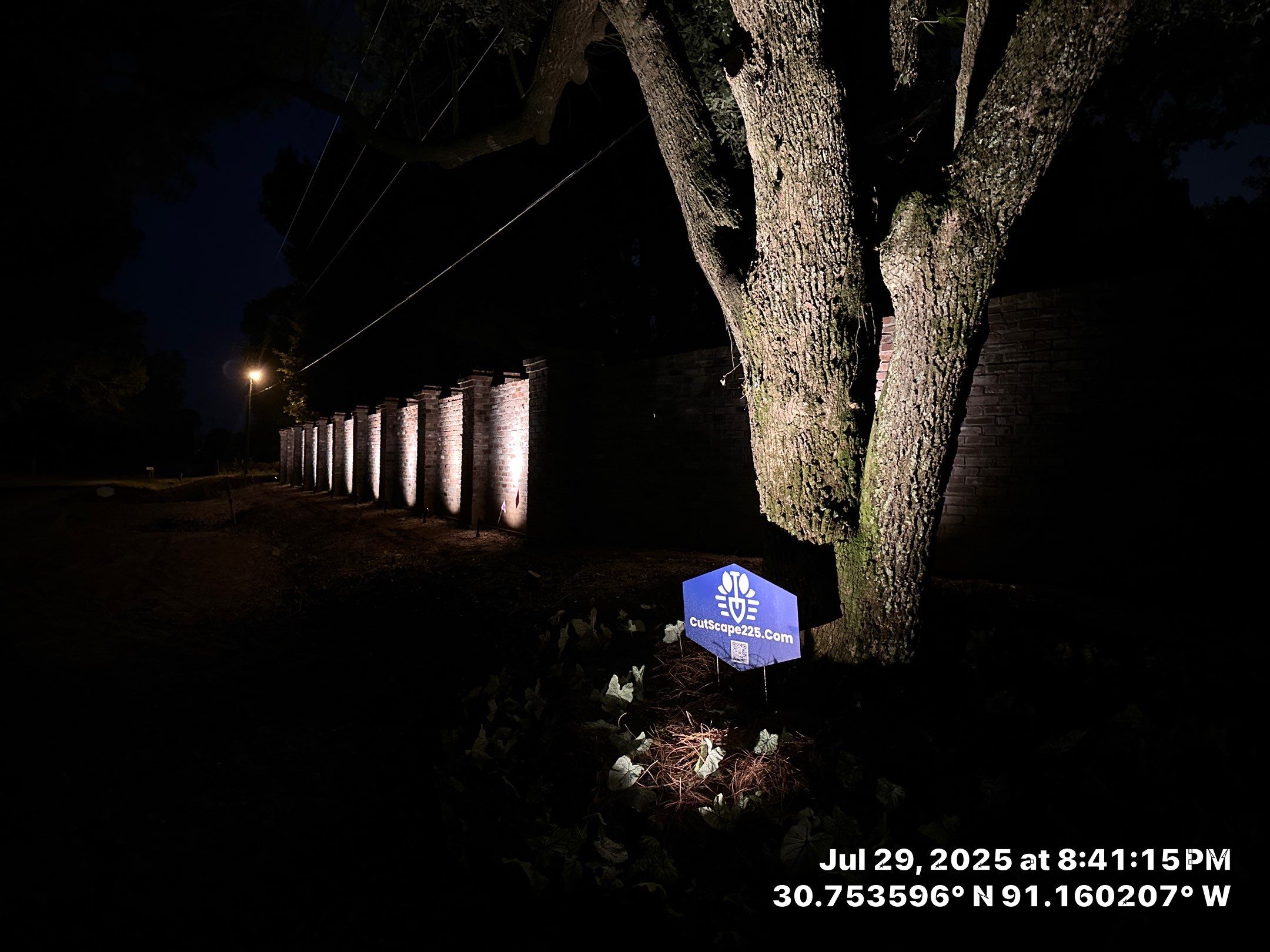 LANDSCAPE LIGHTING & LANDSCAPE CLEAN UP by CutScape, LLC.