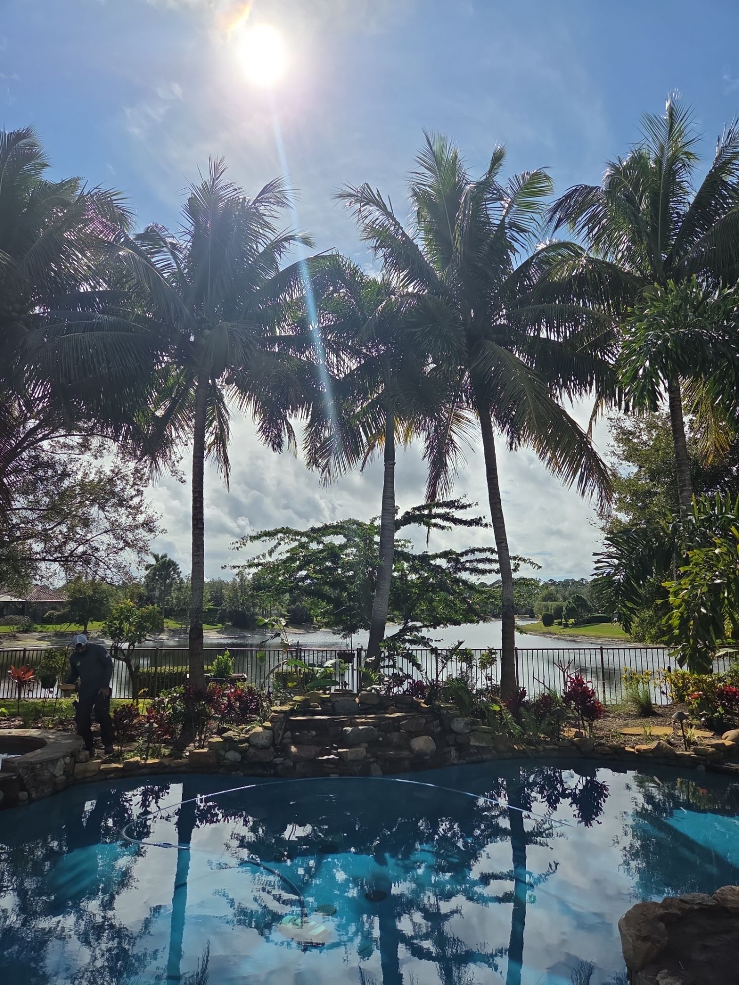 Palm Perfection & Poolside Restoration in Lighthouse Point by Alpha Zeta Enterprises Inc