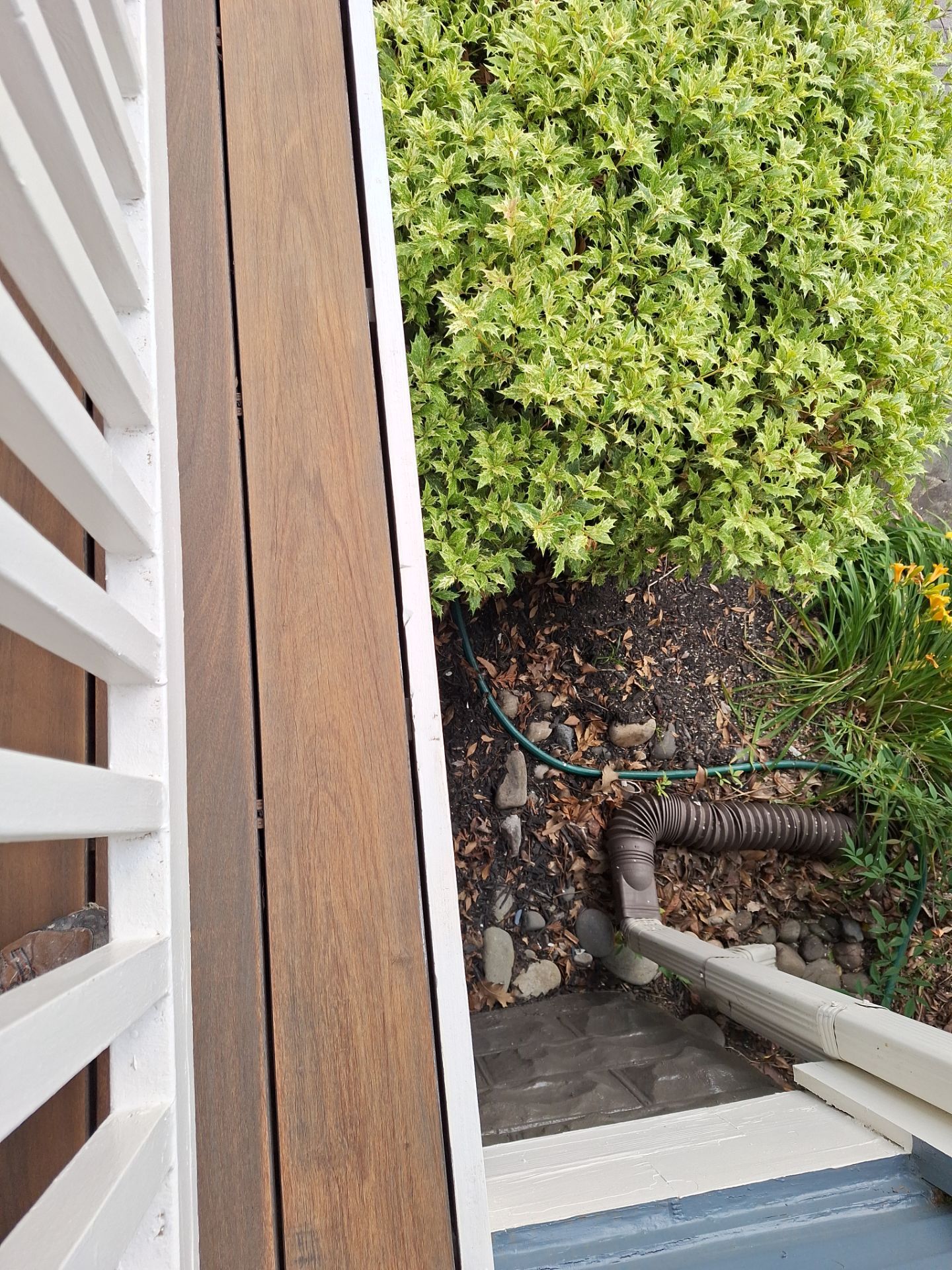 Exterior House Painting in Arlington, VA by My Painter 