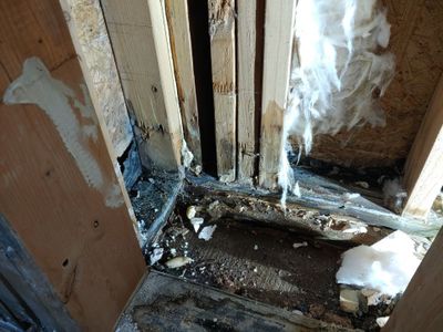 Open wall corner with exposed wood framing, insulation, dark staining, and debris on the floor.
