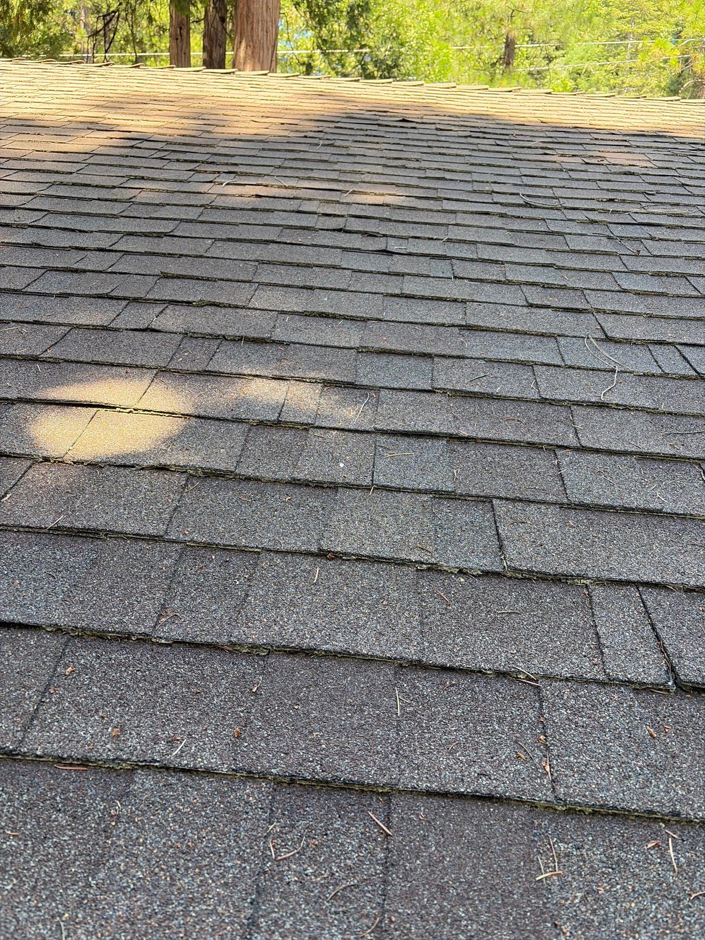 Roof Rejuvenation using Roof Maxx Treatment by Roof Maxx of Folsom