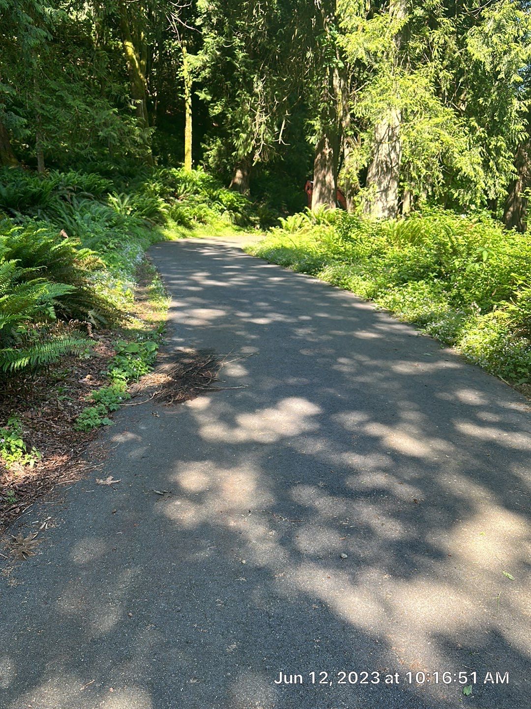 John | Asphalt Driveway  by Jireh Asphalt & Concrete Inc 