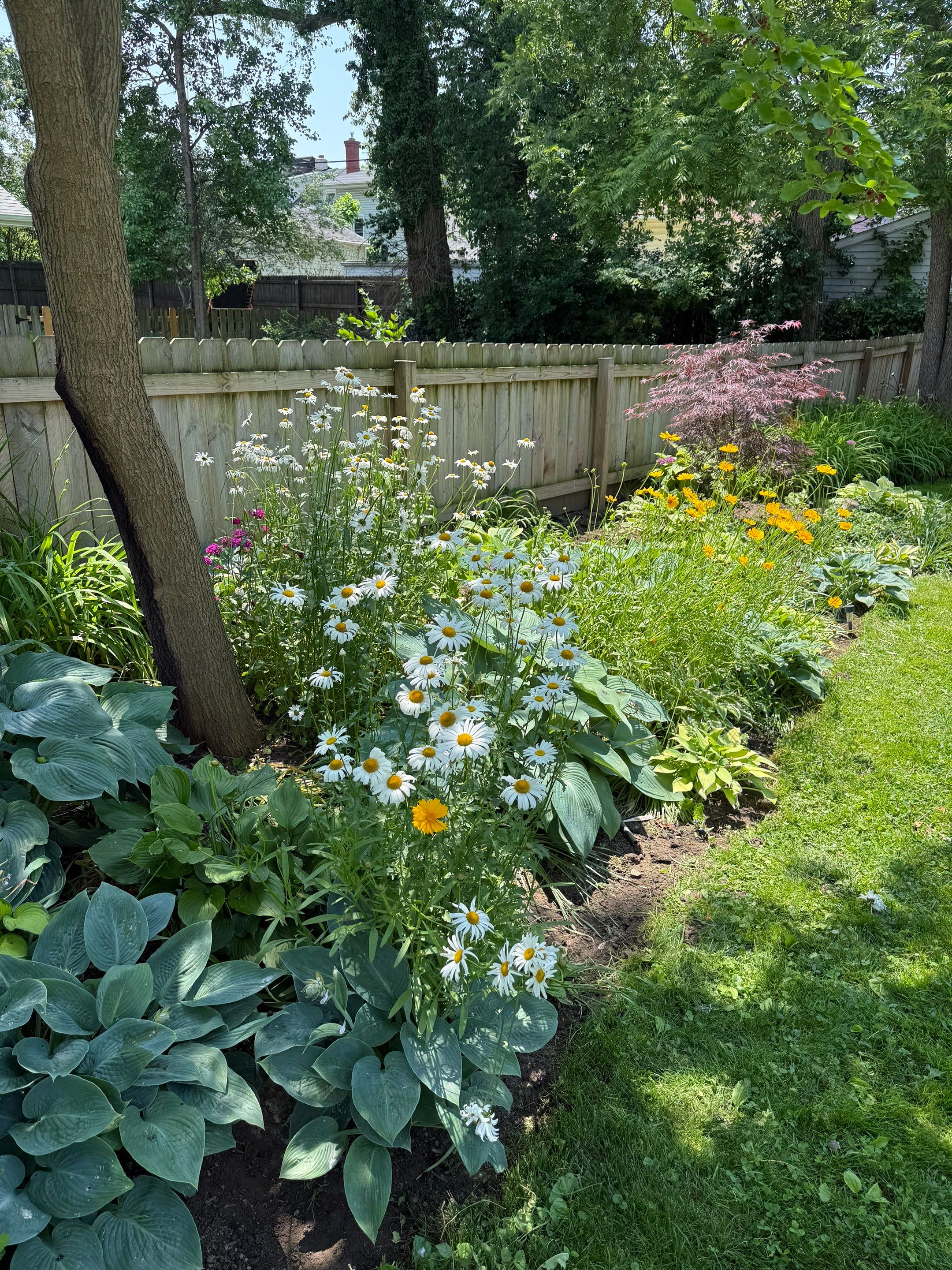 Berea Sandstone Project by Elm Rose Gardens