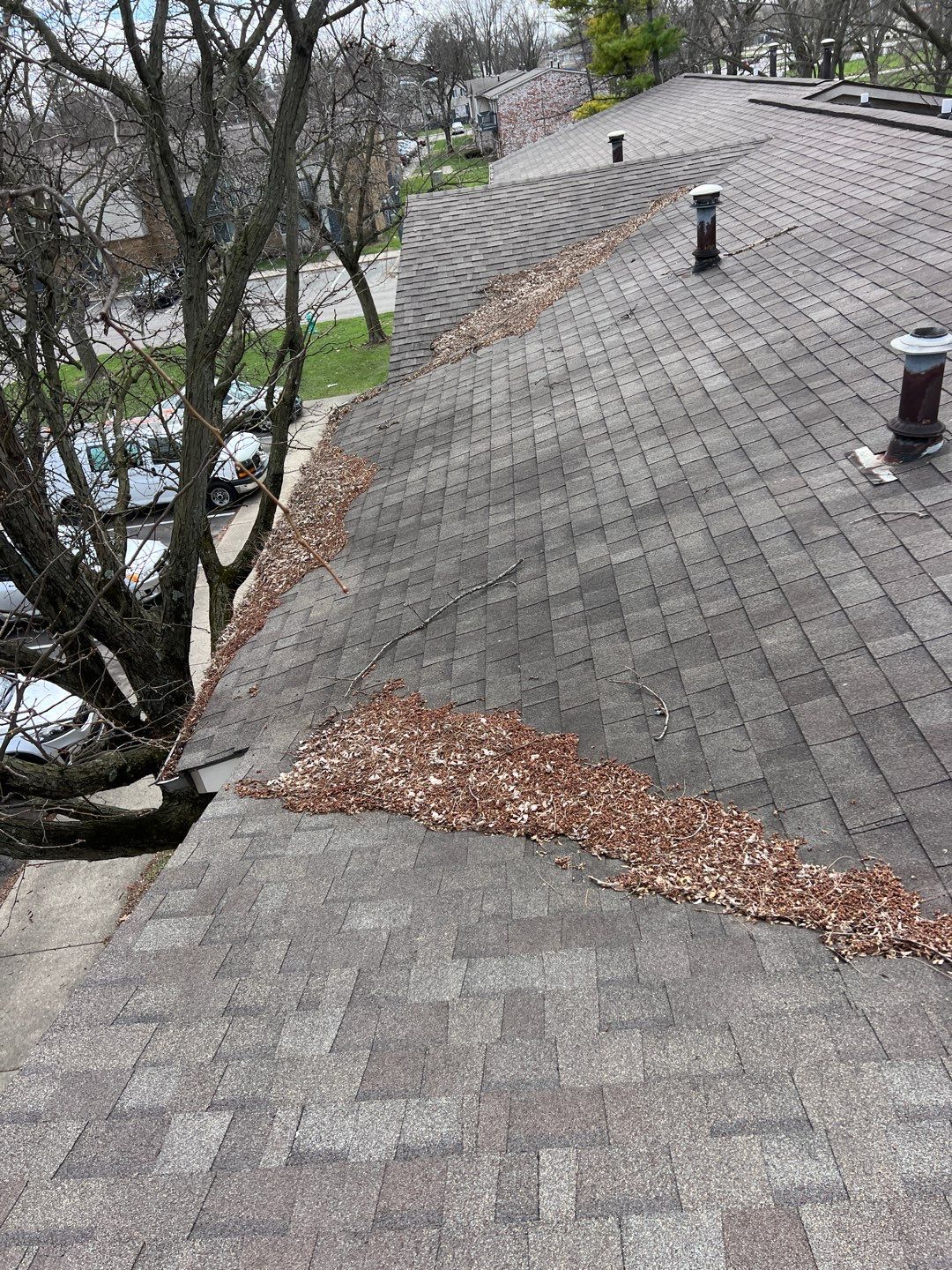 Commercial gutter cleaning Bloomington, IN before photo with filled gutters