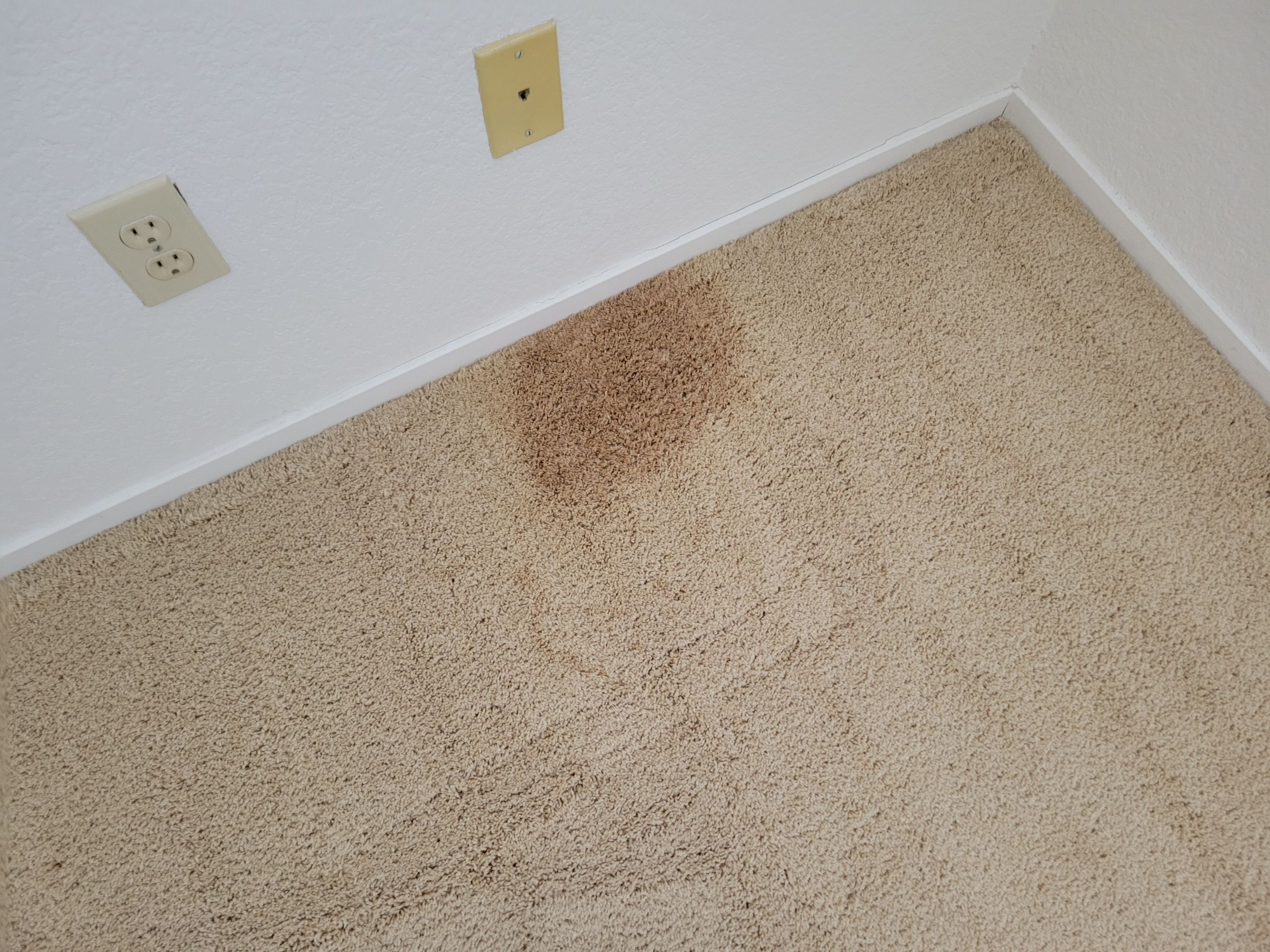 Carpet Re-stretching and Cleaning by Ardent Carpet Restore LLC