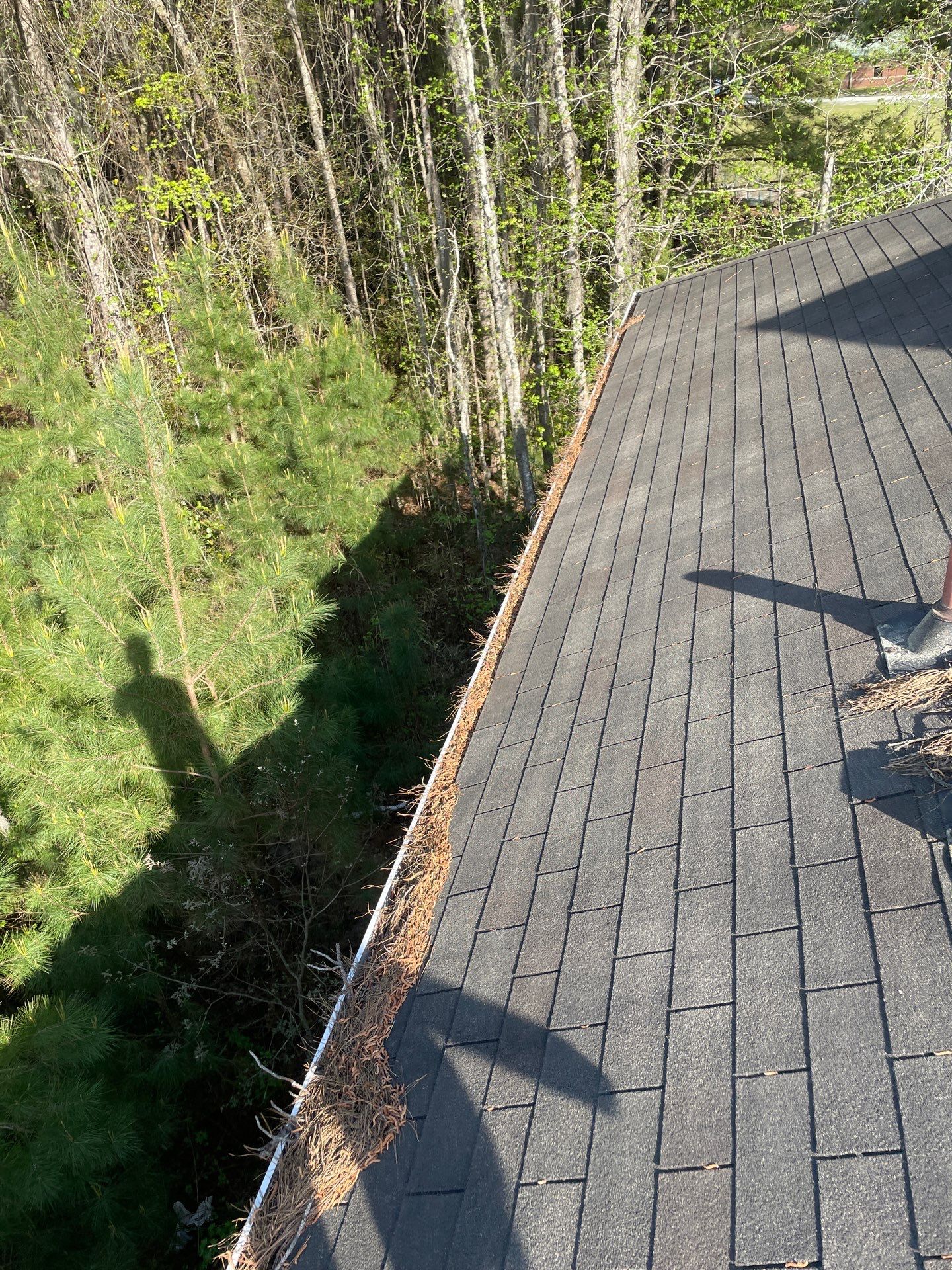 Commercial gutter cleaning Pooler before photo with filled gutters