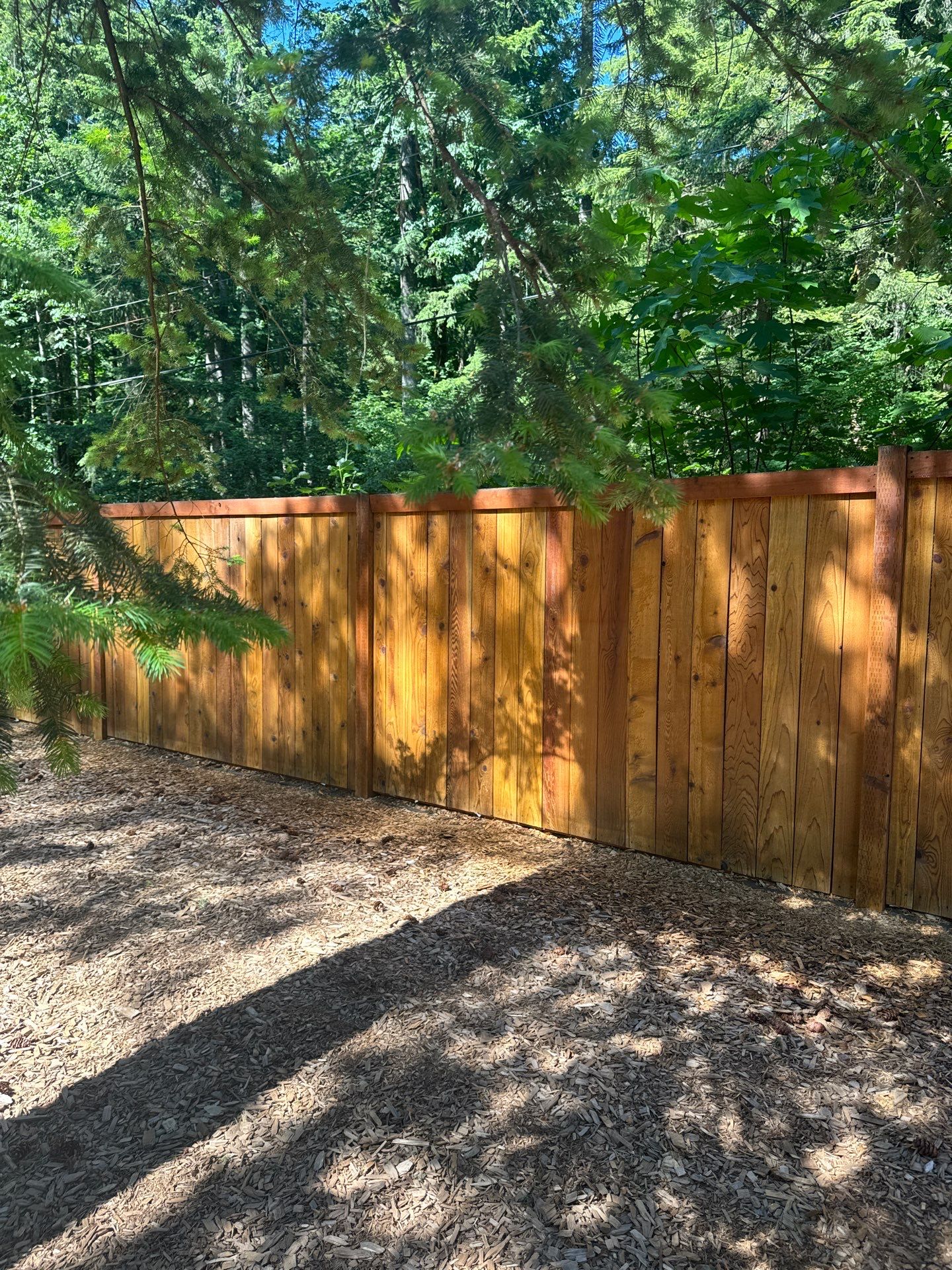 Project in North Bend by Clean Buildings