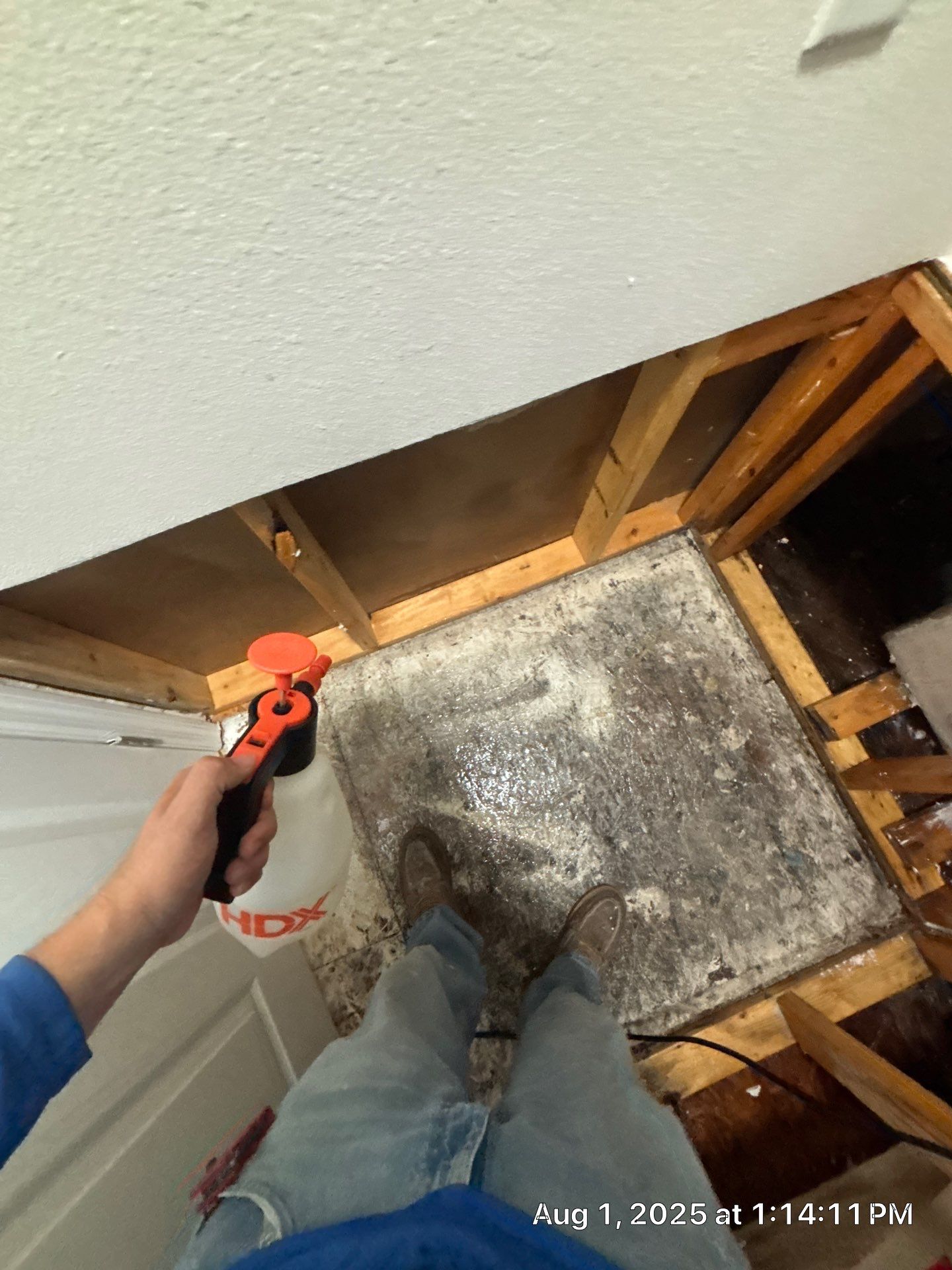 Water Damage Repair In Ellenton, FL by Ampm Restoration Services