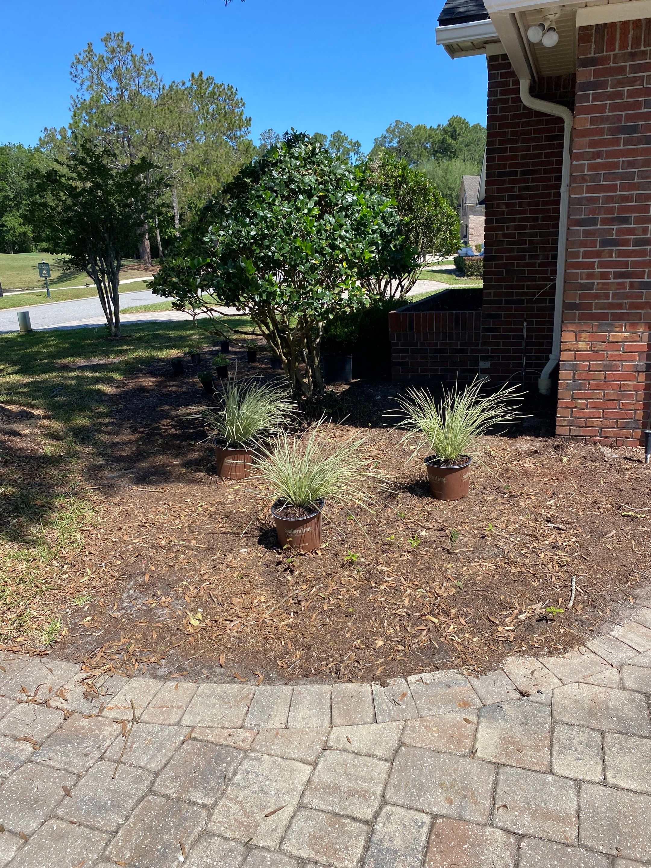 Deercreek Resident | Landscape Update by ProGreen Services