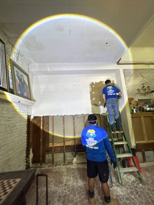 Mold Removal And Remediation In Saint Petersburg 