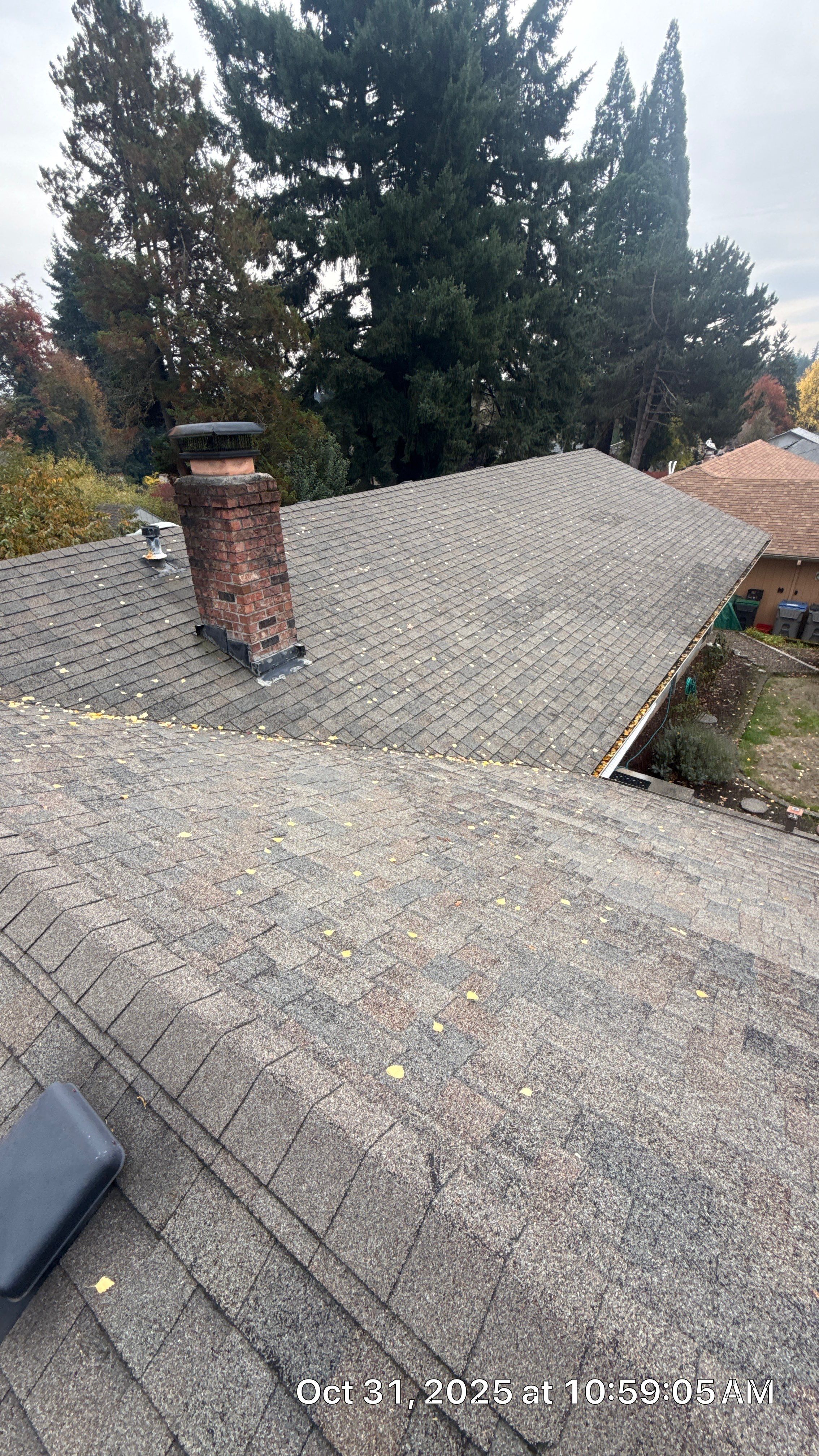 Rain City Roofers featured photo.