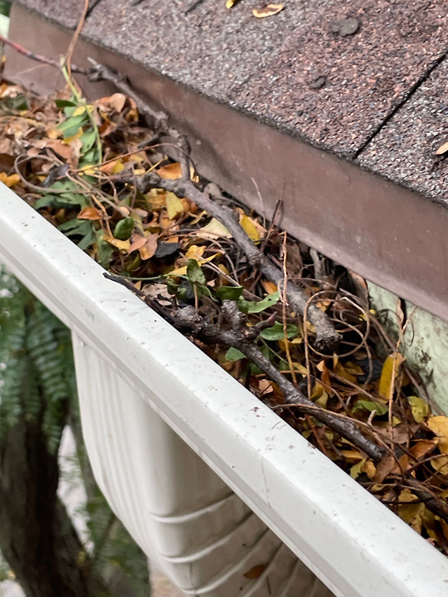 Commercial gutter cleaning Nebraska before photo with filled gutters