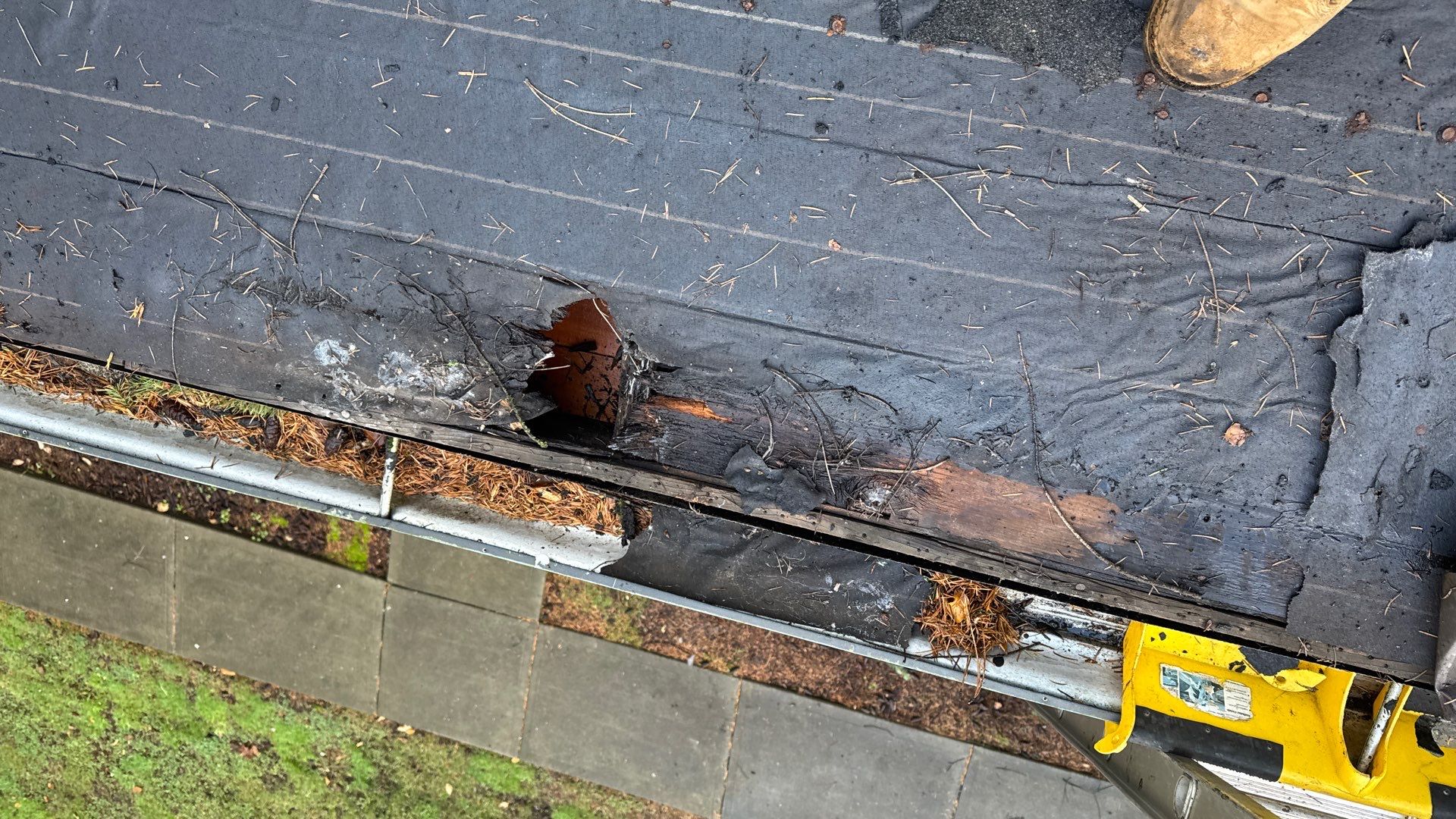 Northeast Halsey Street, Portland Oregon by OR Advanced Roofing, LLC