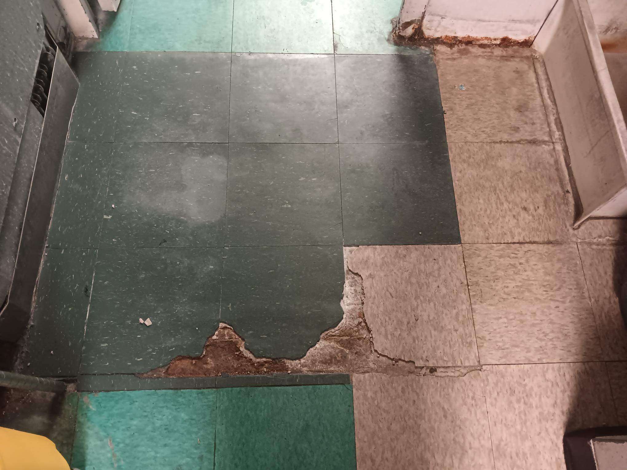 Vinyl Flooring  by DPI Pressure Washing LLC