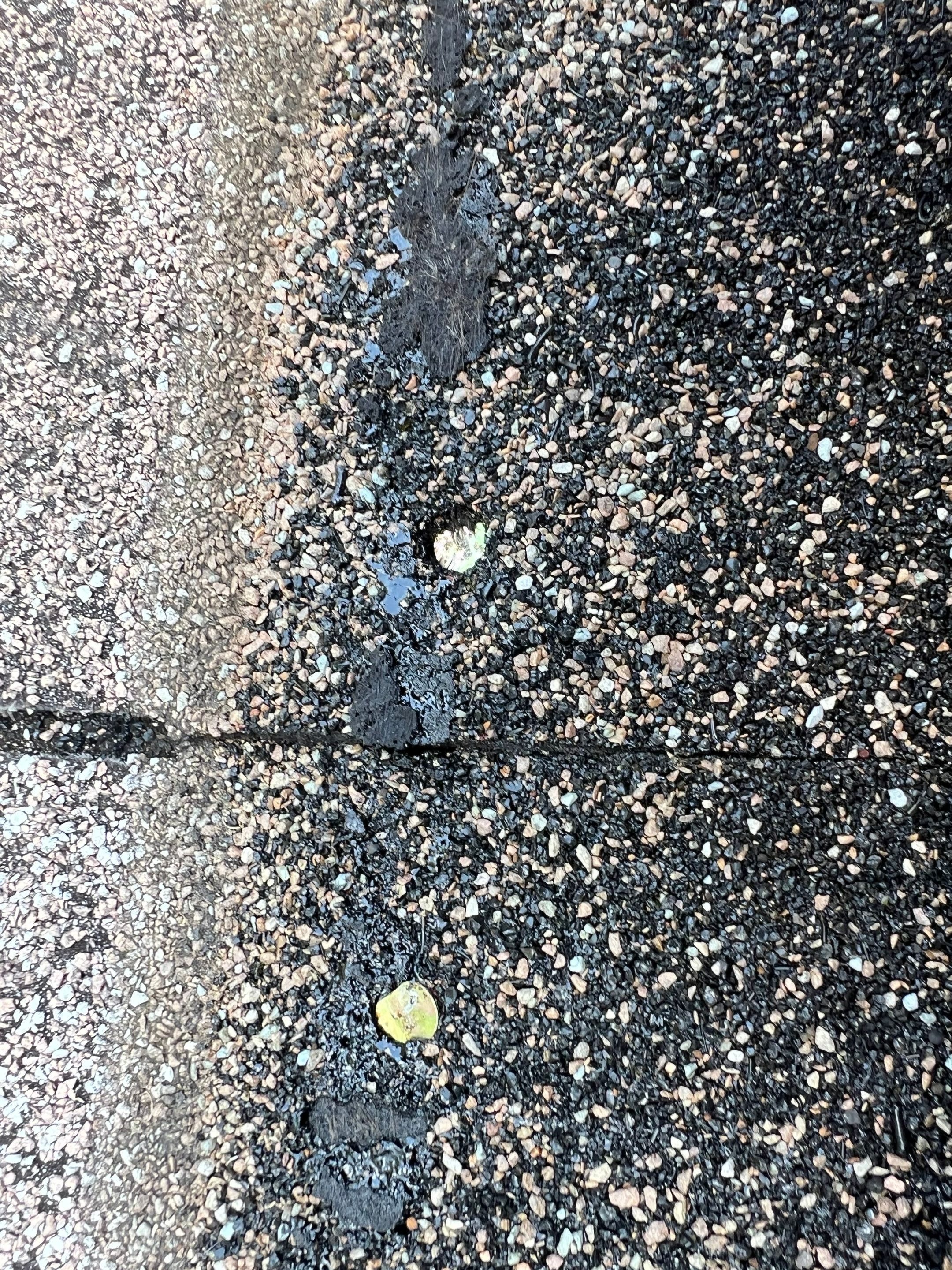 Roof Replacement in Spring Hill, FL by Steadfast Roofing 