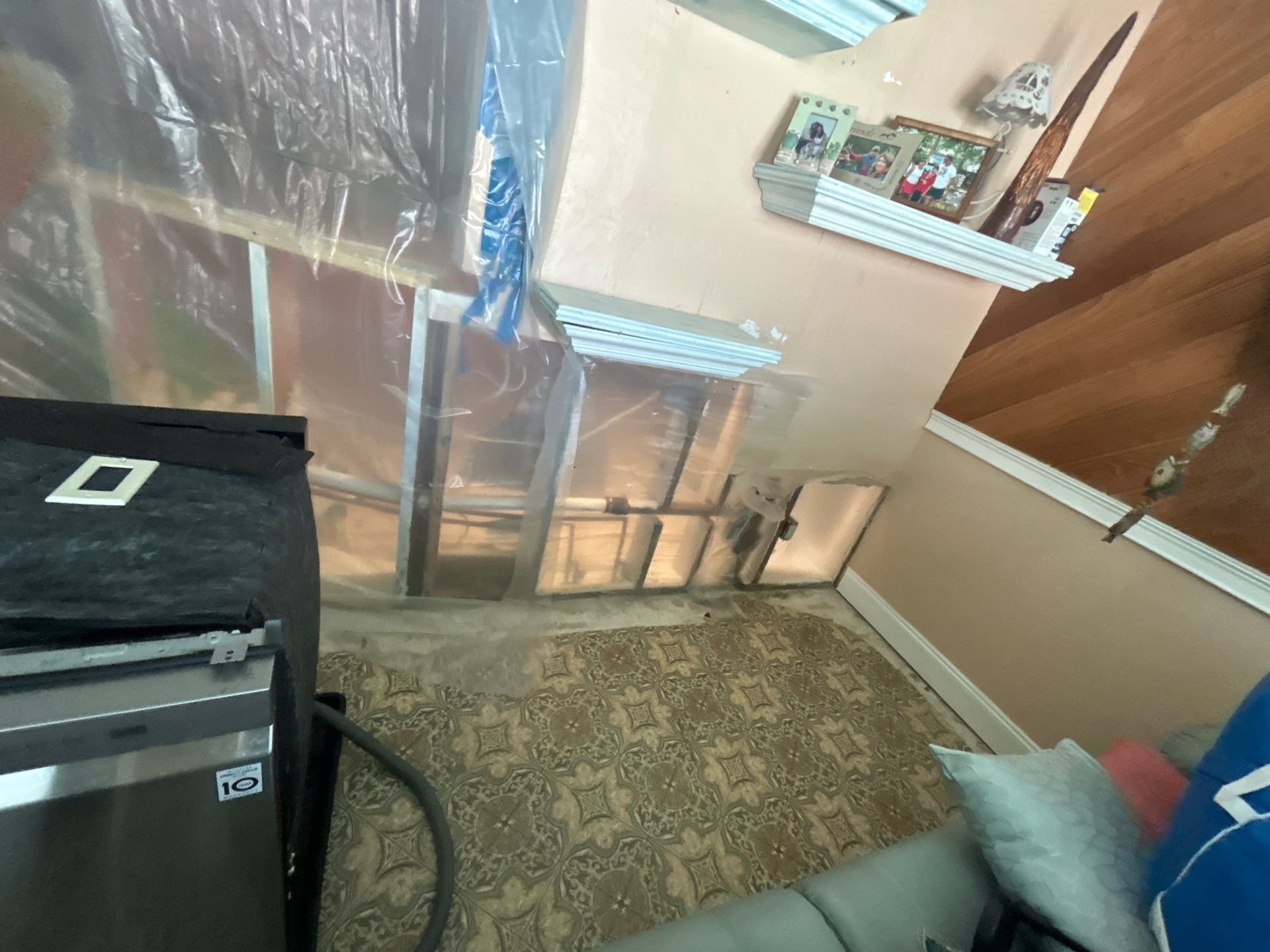 Black Mold Removal In Venice Florida by Ampm Restoration Services