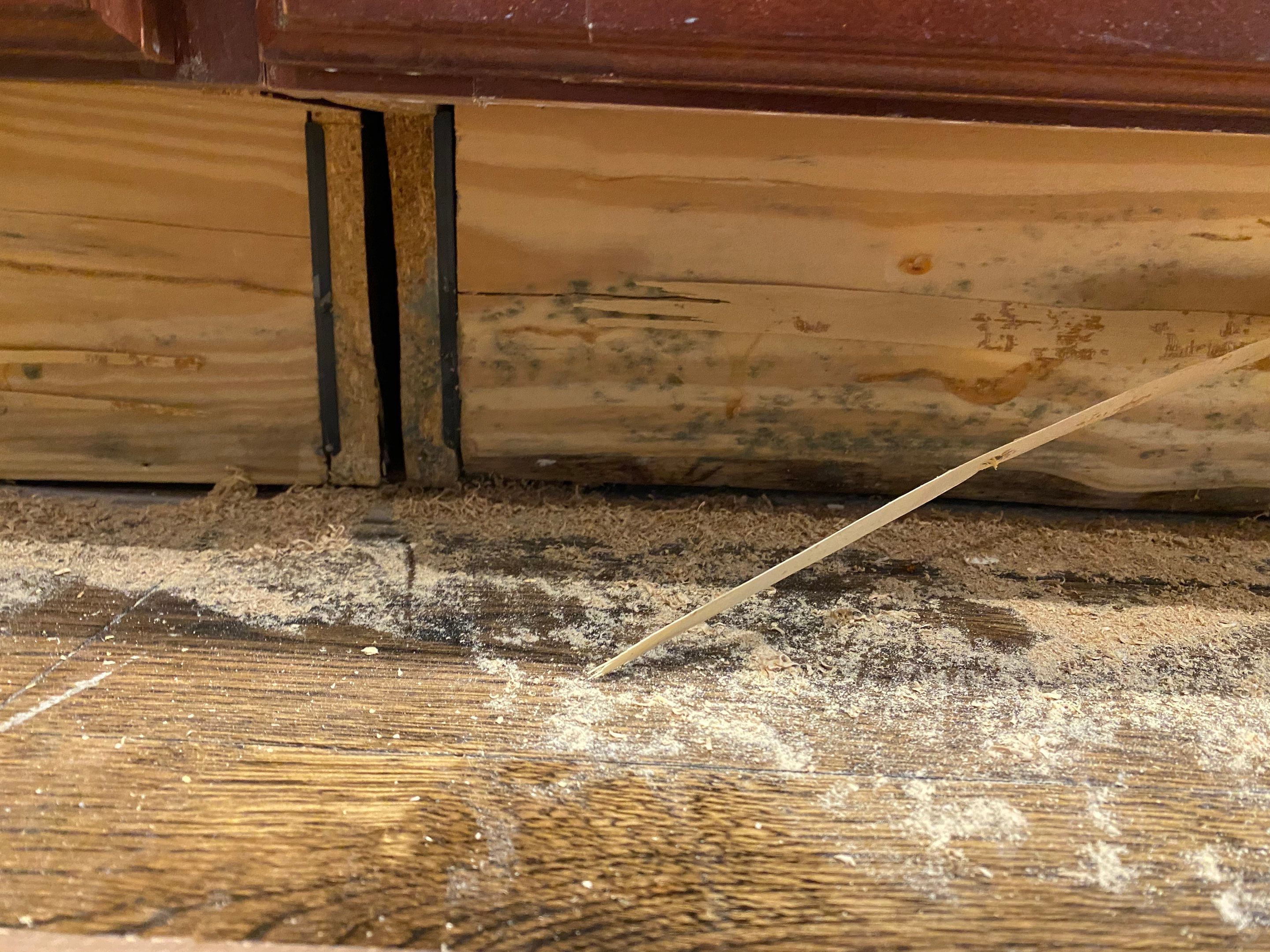 maria aguilera by Unlimited Fire Restoration