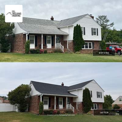 Shingle Roof Replacement