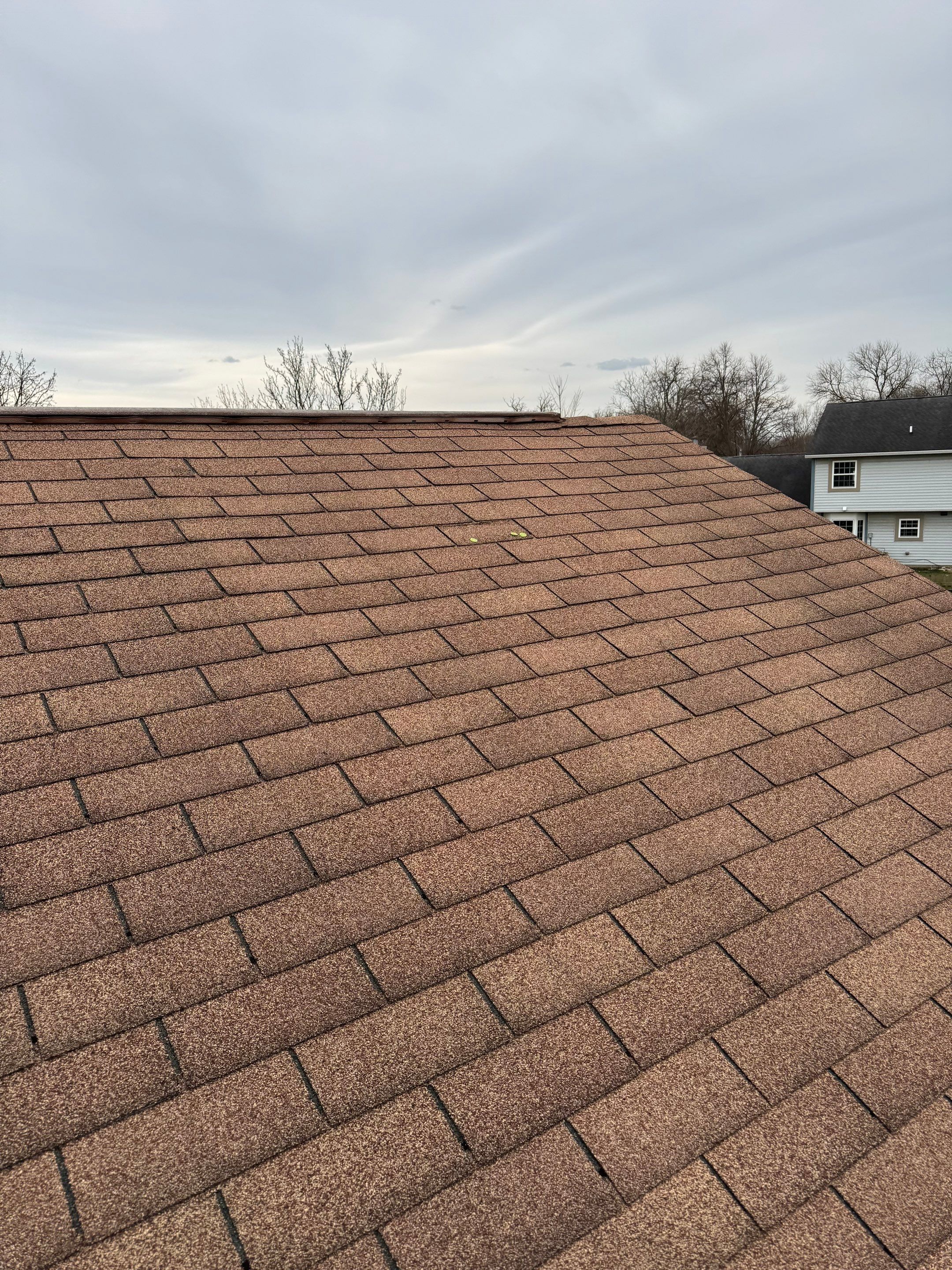 Elevated Roofing & Siding featured photo.