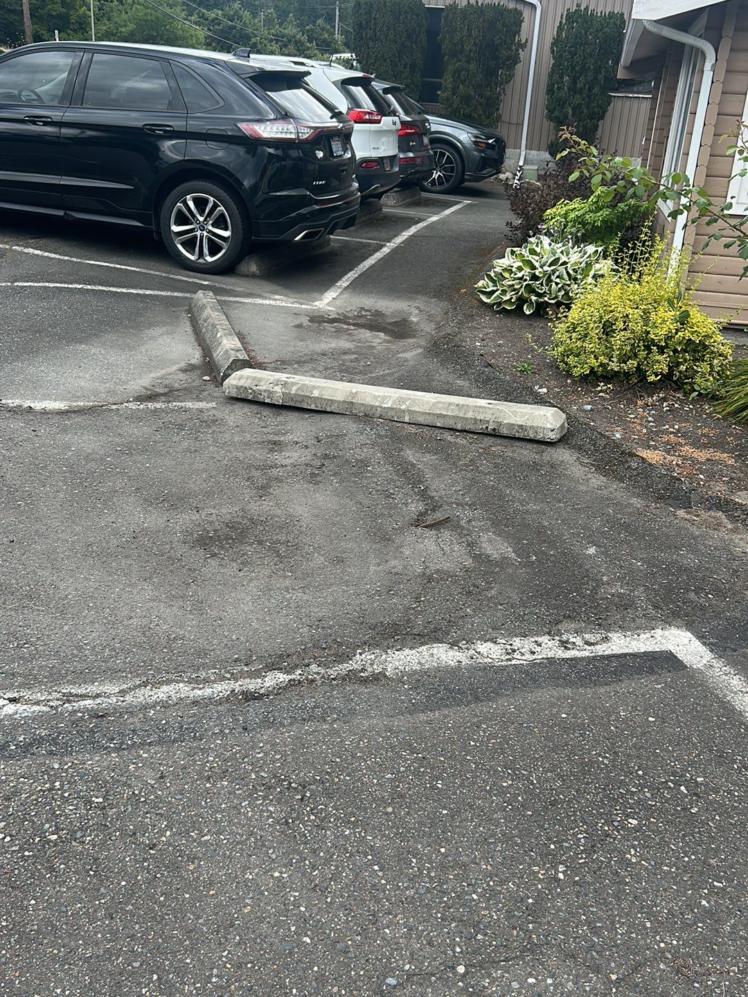 Larry | Asphalt Driveway Repair  by Jireh Asphalt & Concrete Inc 