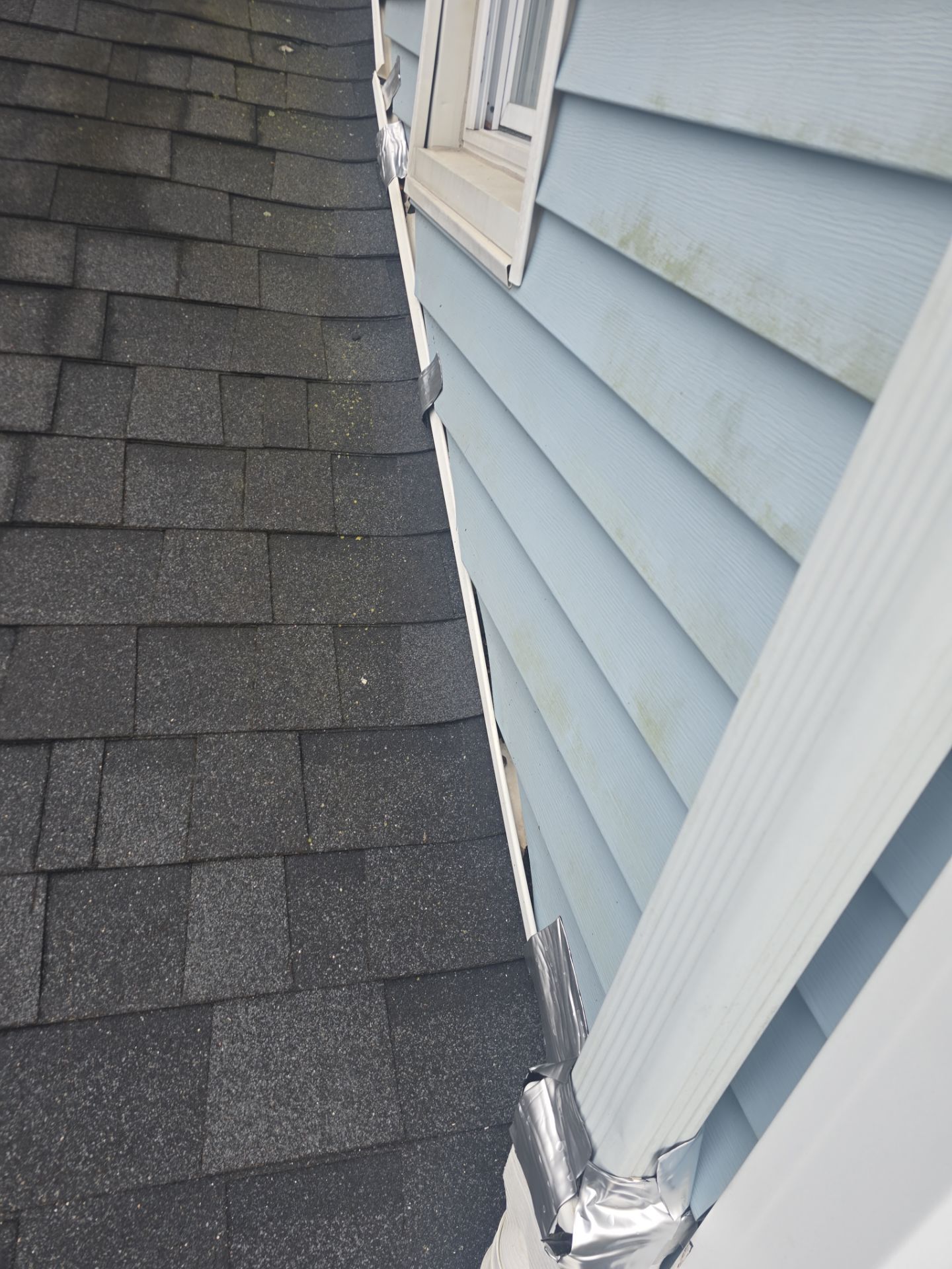 Megan Weidle by Silver Leaf Contracting 