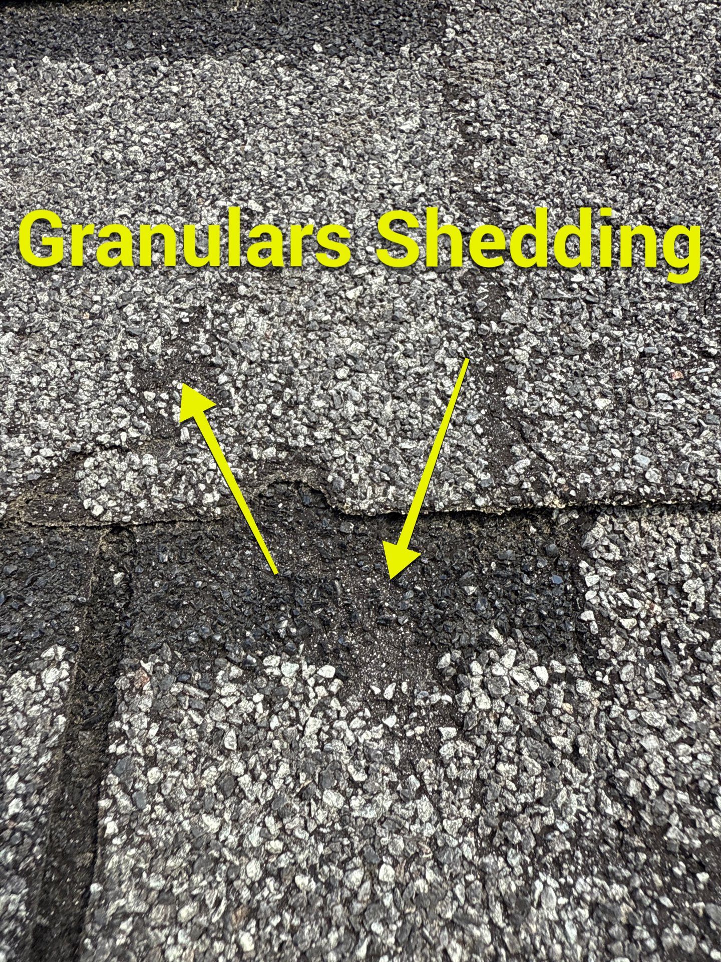 Project in Prince George by Roof Maxx of Midlothian