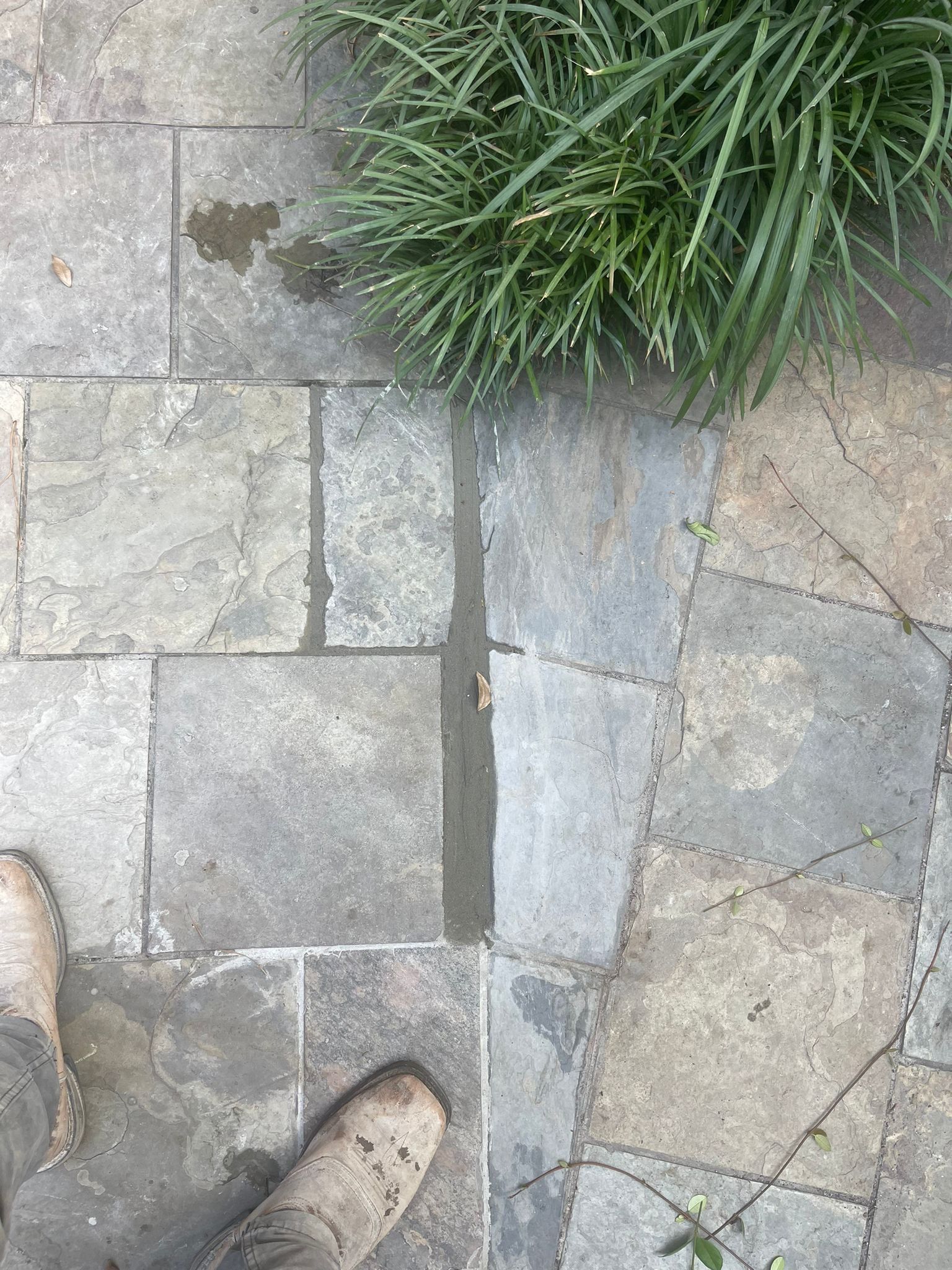 🌿 Project Spotlight: Patio Stone Repair for Linda Pradier by Texas Urban Elements