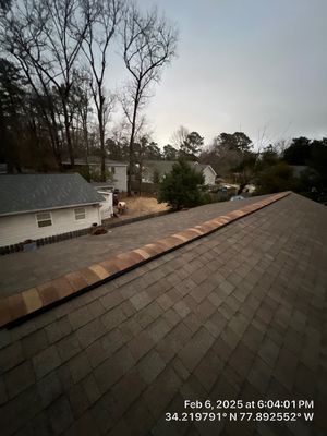 New Ridge Vent & Gutter Guards