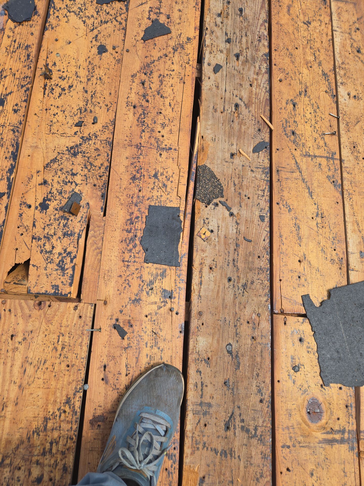 Project in St. Petersburg 33710 by Mitchell Roofing Company LLC 