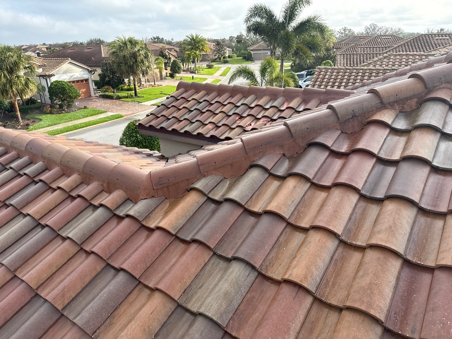 Paver Pool Deck, Driveway & Concrete Tile Roof Cleaning in River Strand, Bradenton, FL | Sunshine AquaWash by Sunshine AquaWash