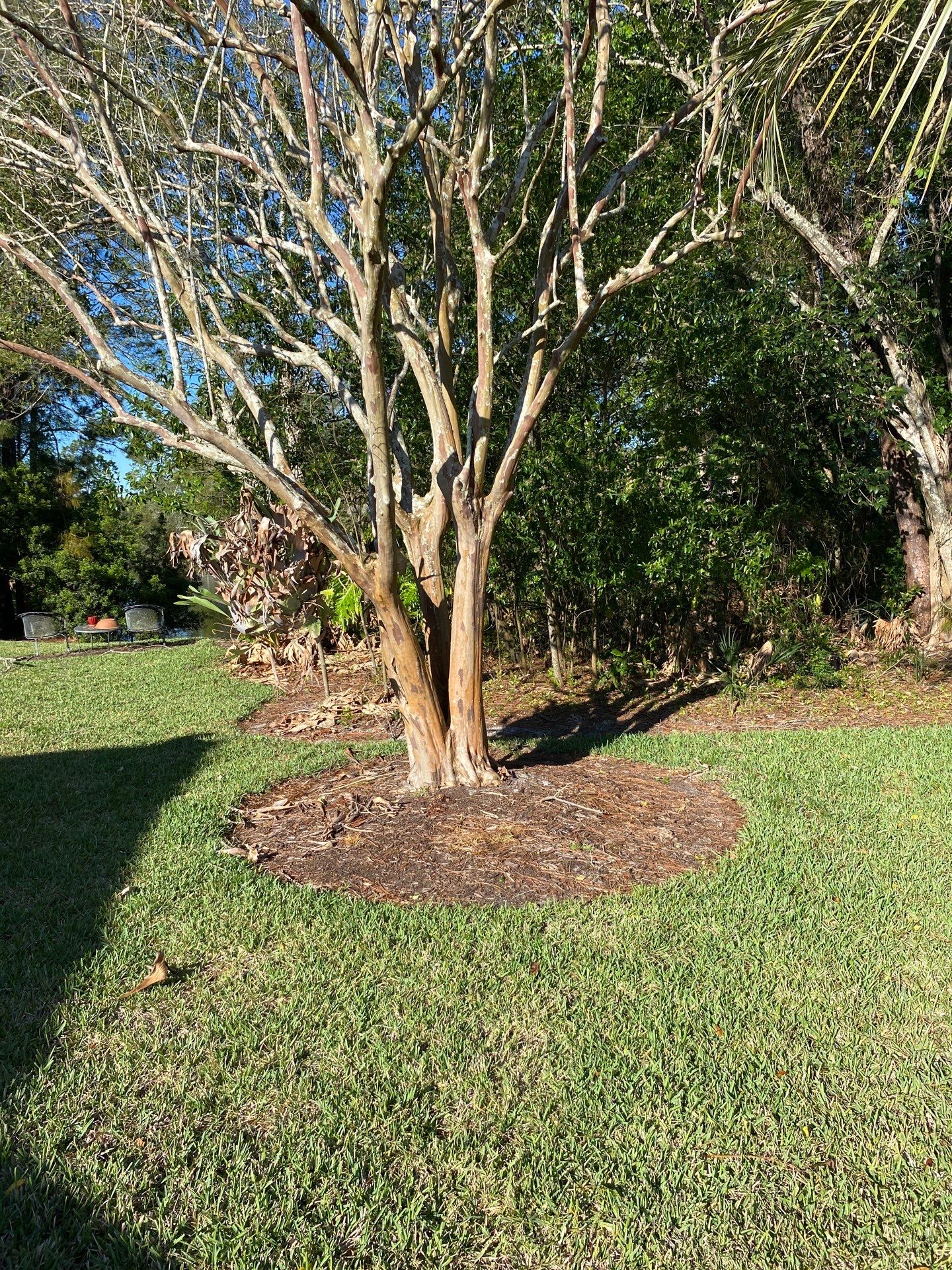 Deerwood Resident | Pine Bark Install by ProGreen Services