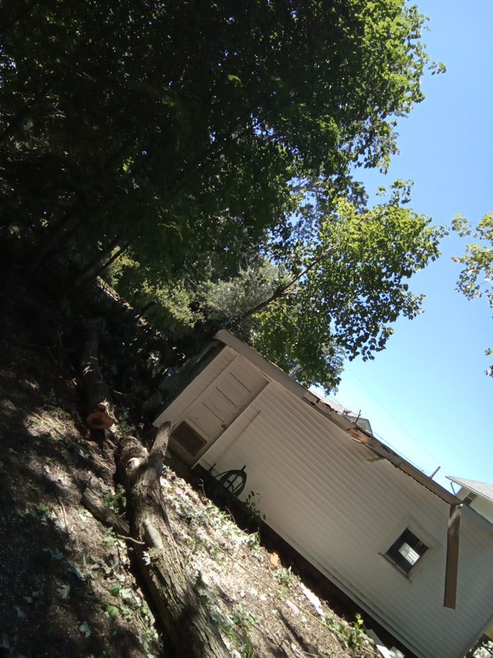 Storm Damaged Tree Removal  using Tree Removal by Mike Jones & Sons Tree Service LLC 