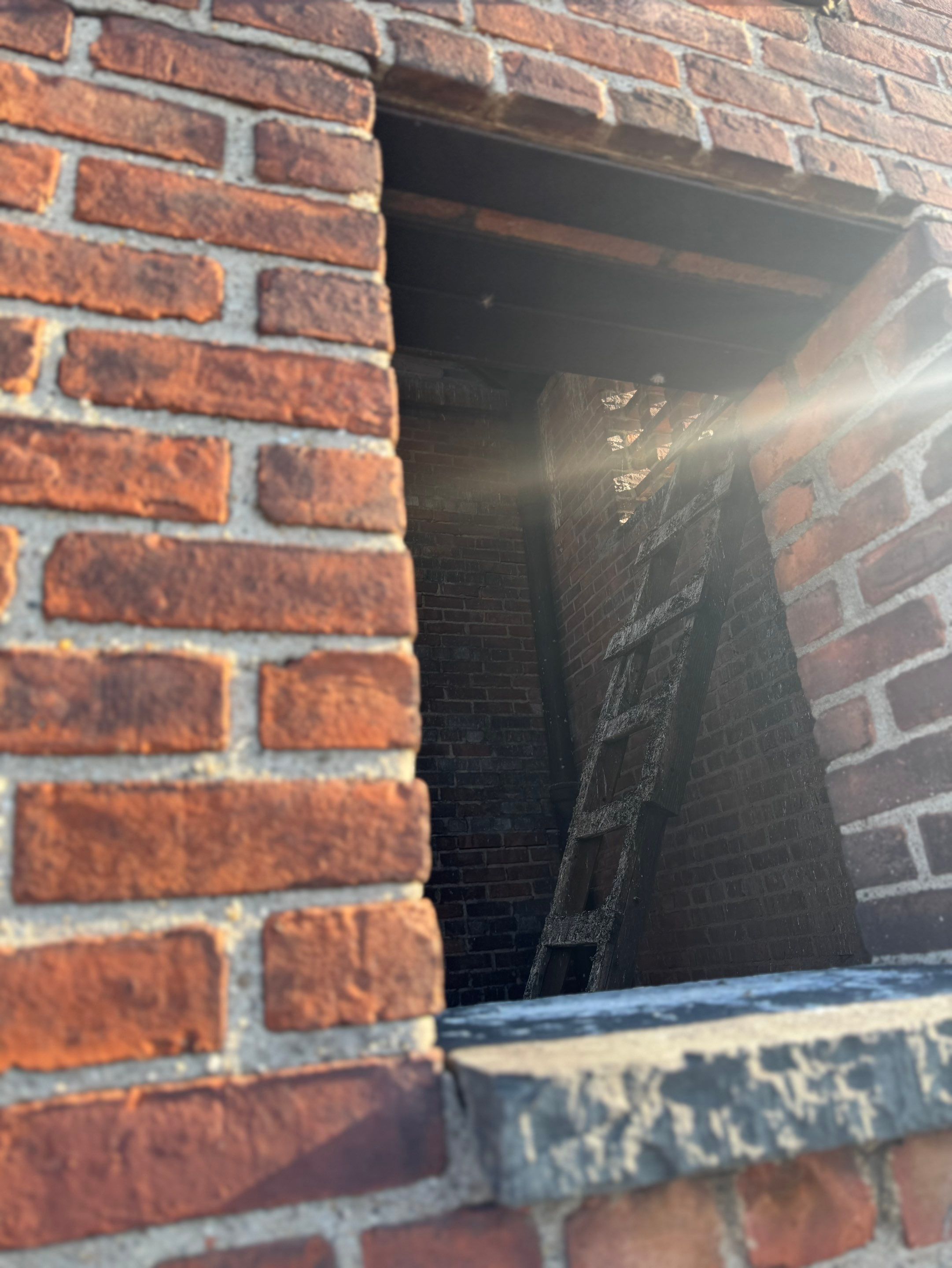 Bell Tower Discovery! by Above All Gutters 