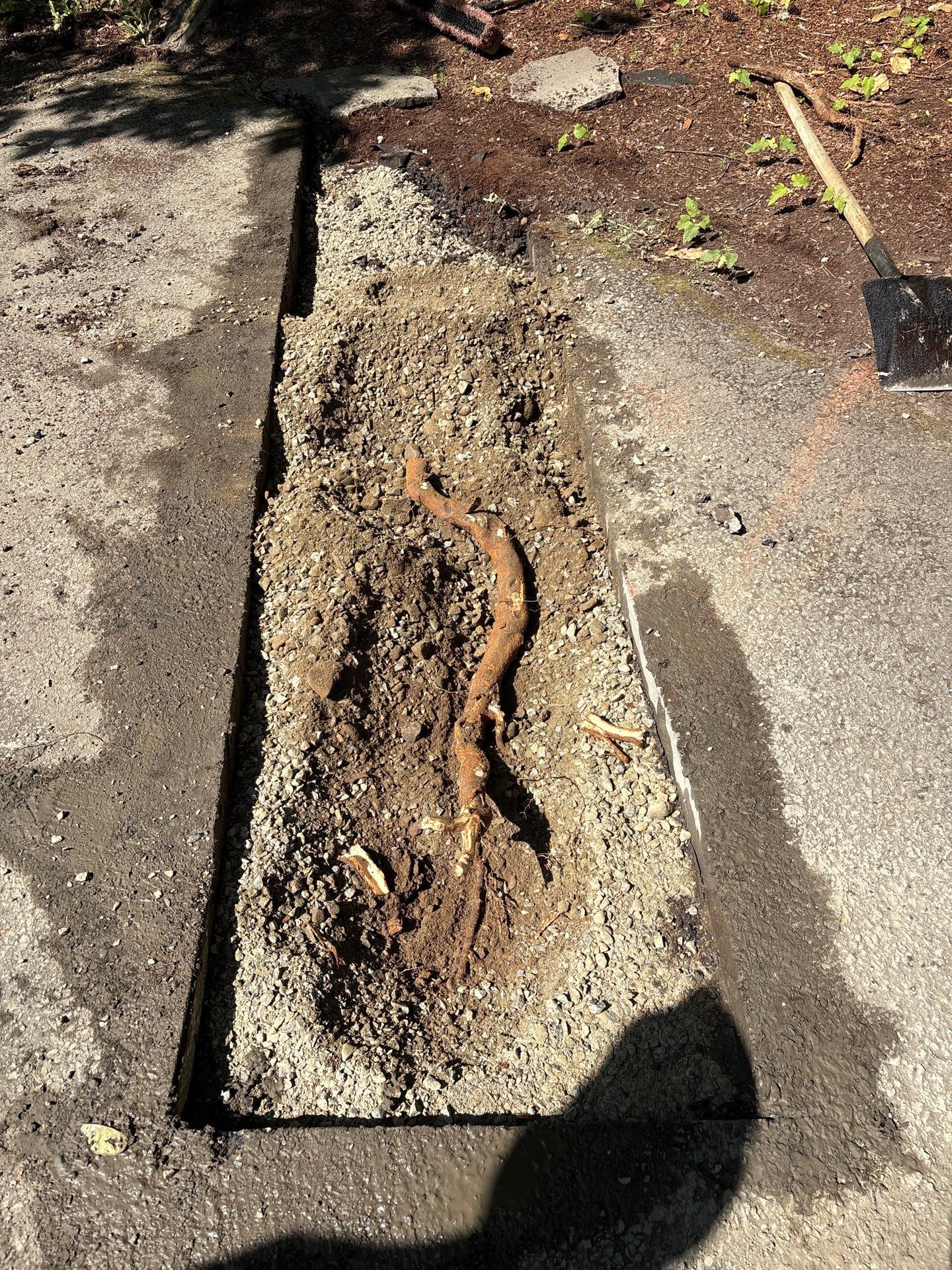 Driveway Asphalt Patch Repairs | Mercer Island  by Jireh Asphalt & Concrete Inc 