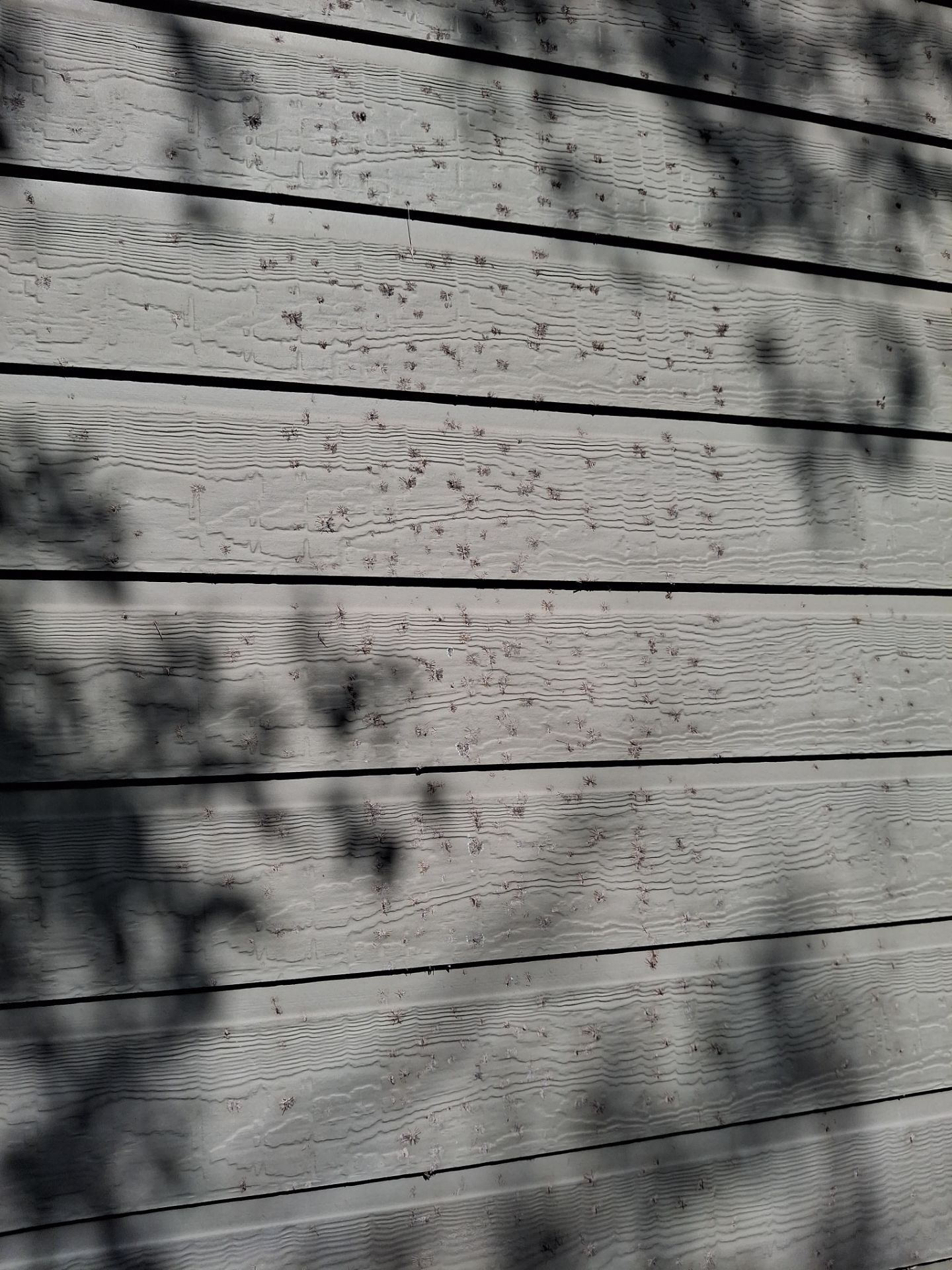 Longview, TX Complete Transformation with Exterior Repaint by Quality Coats Painting