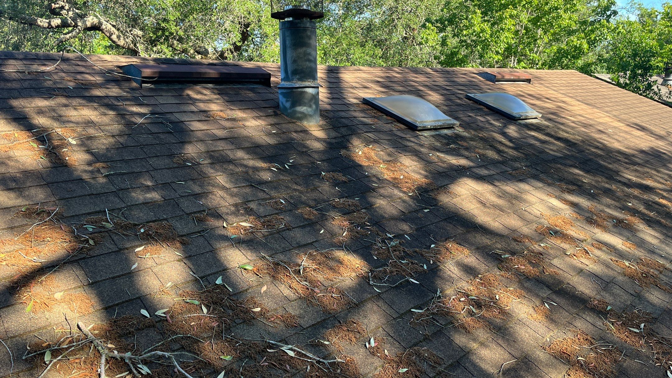 Shingle -> Shingle by Prime Roofing
