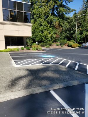 Buchan | Business Parking Lot Repair & Striping