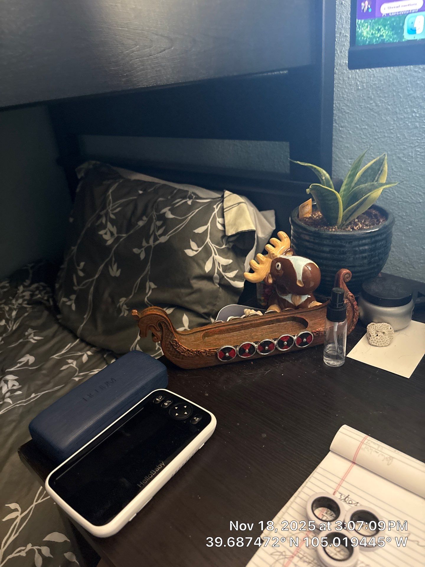 Jones Tree Removal by CompanyCam Sales Demo