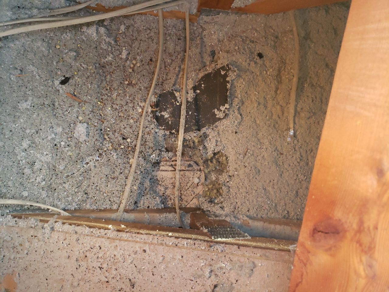 Storm Damaged Roof using GAF Timberline HDZ - Lifetime Shingle by The Roof Doctor