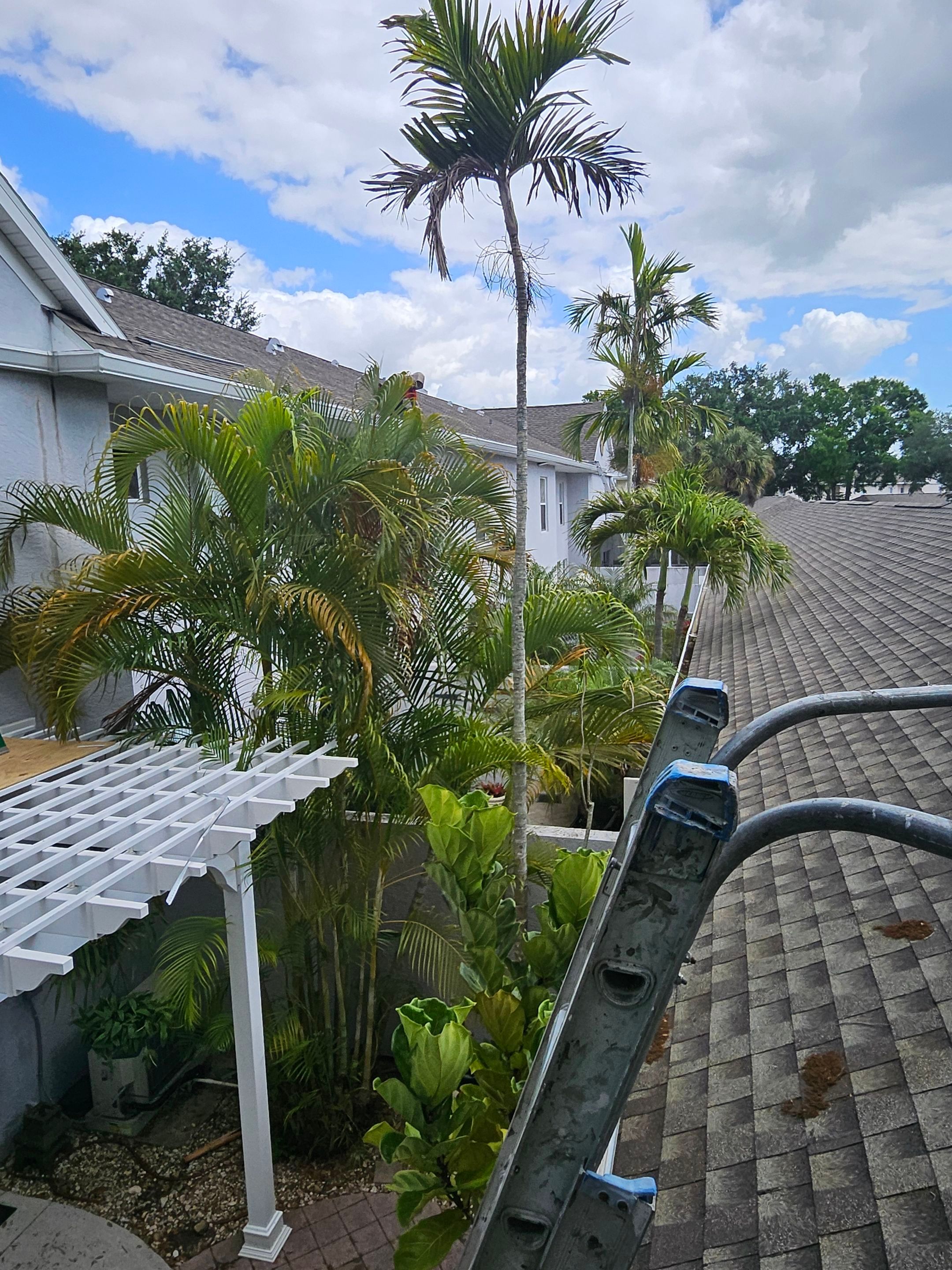 Gutter Cleaning Service in Fort Myers FL by Gutter Professors