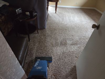 Carpet Cleaning for a House Listing