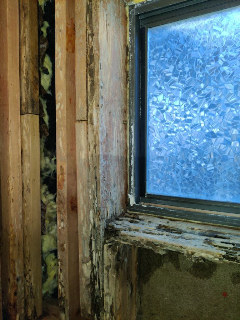 Mold Remediation in Bathroom by Accountable Home Services