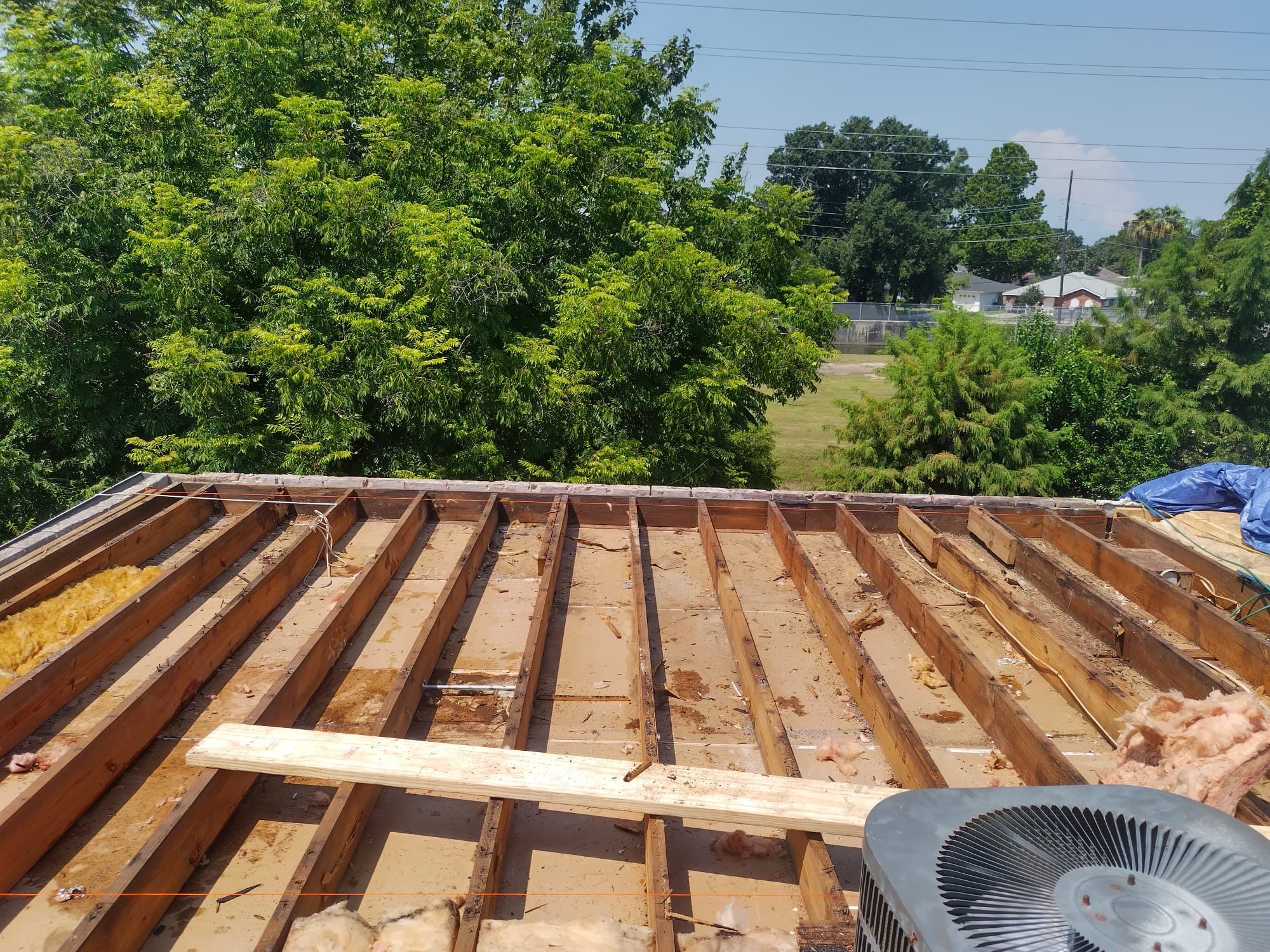 TPO Roof Replacement by Olympian Roof