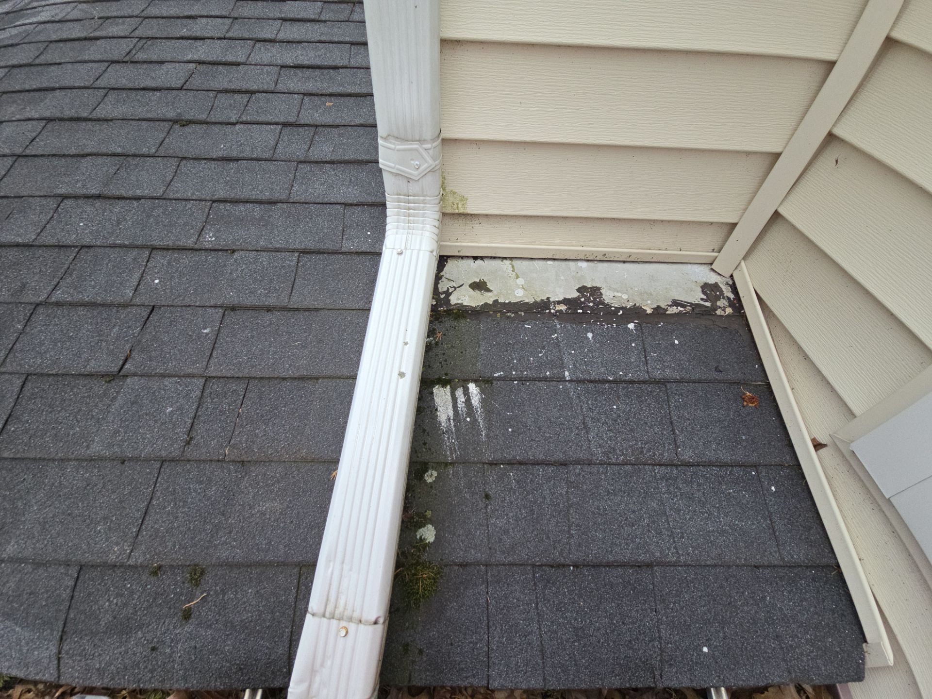 Abby D: Atlas Pinnacle, Color, Black Shadow, Drip Edge, Black by Eagle Eye Roofing