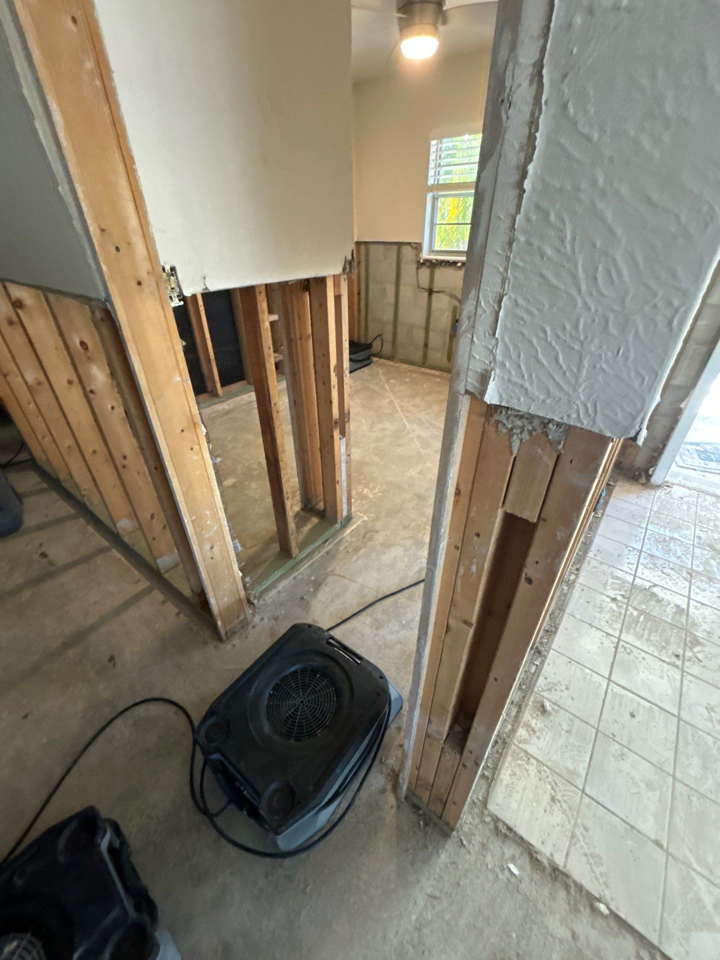 Water Mitigation by Ampm Restoration Services 